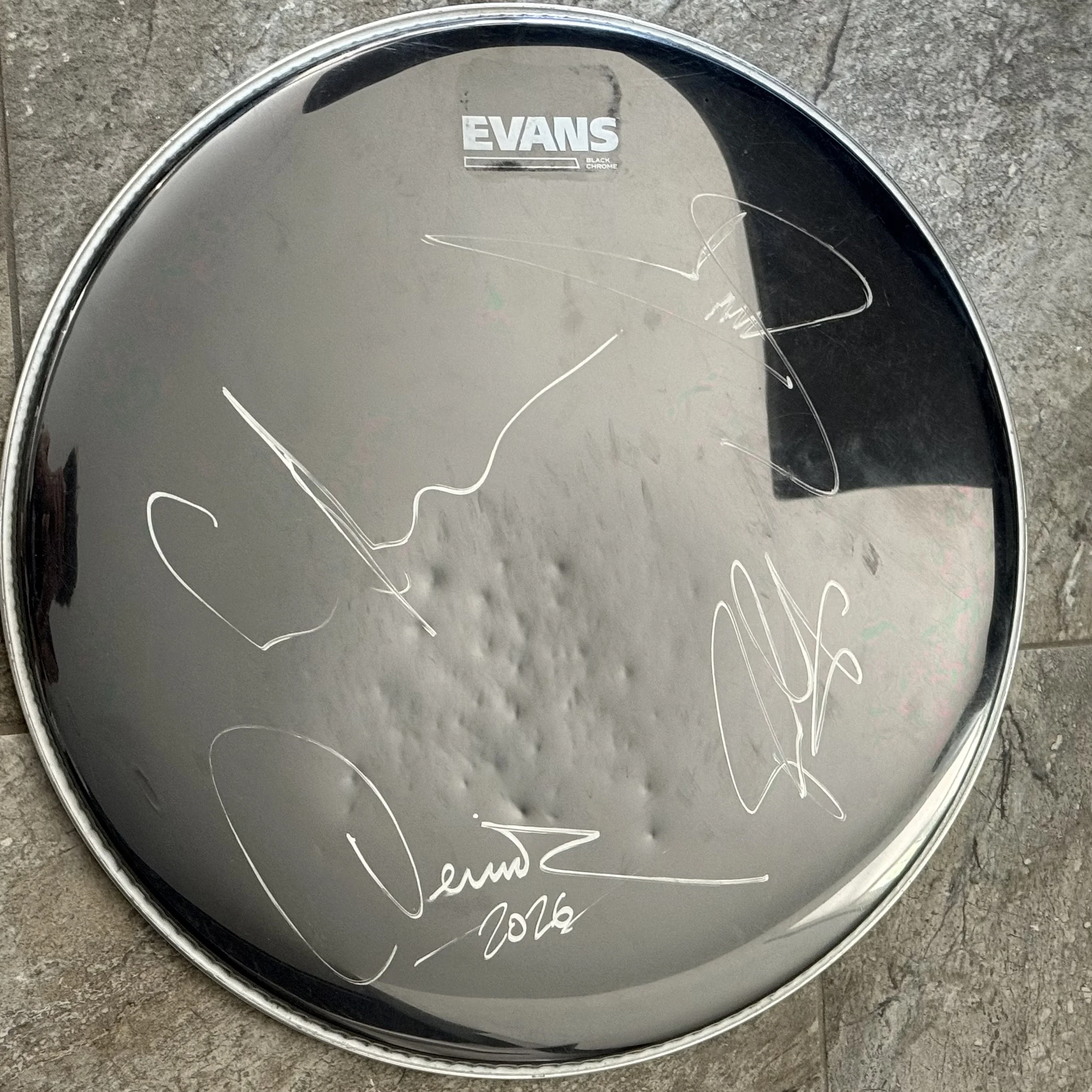 SEPULTURA SIGNED TOUR DRUMHEAD LIMITED TO 2