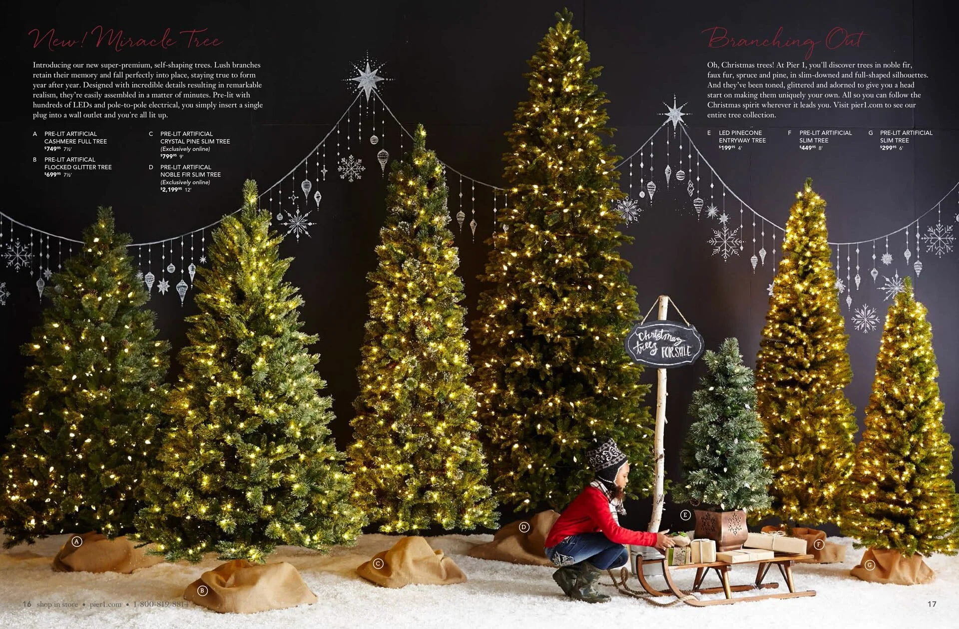 PIER 1 Holiday — AMY OSBURN CREATIVE DIRECTOR