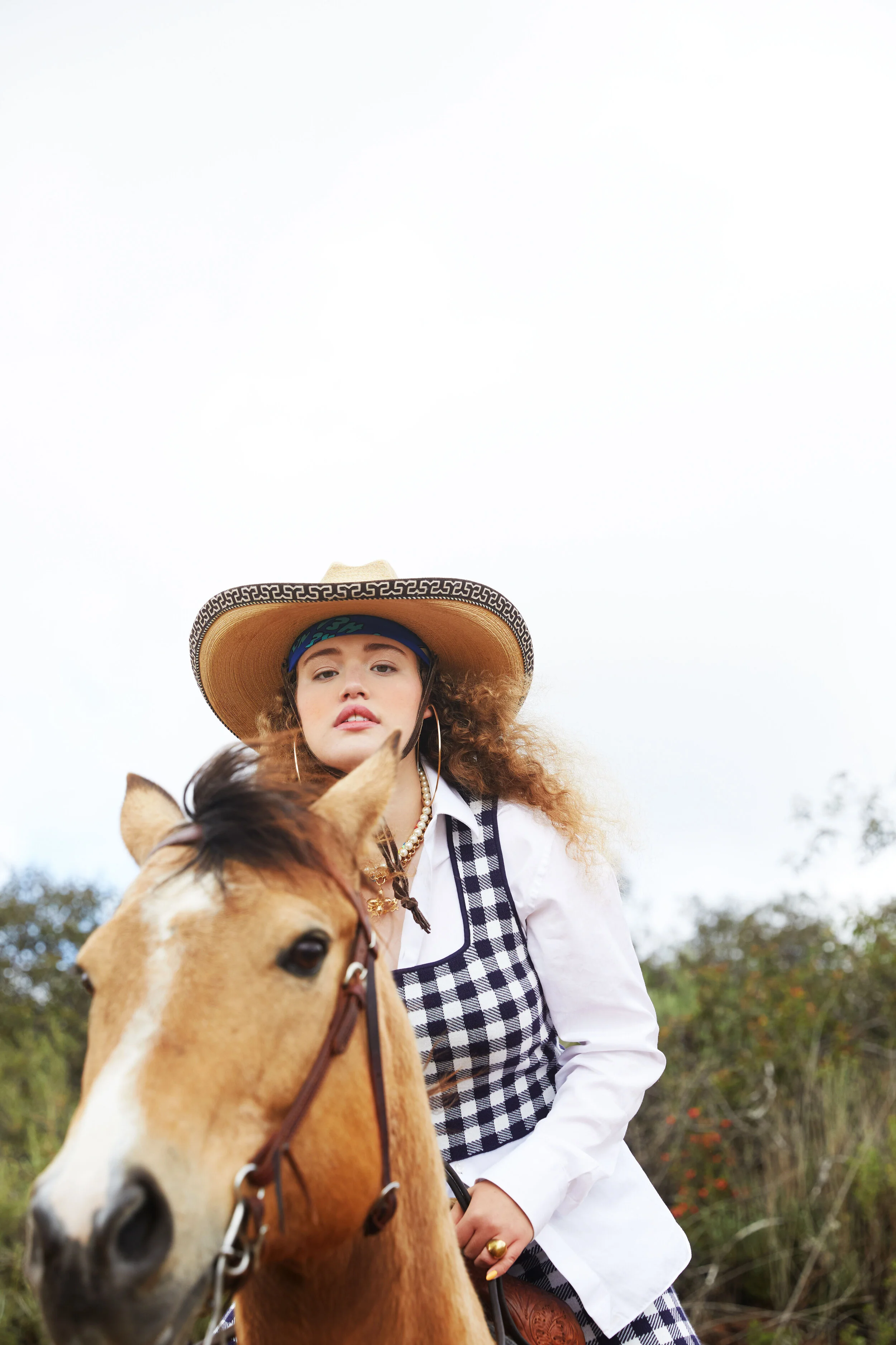 Paloma1508.jpg