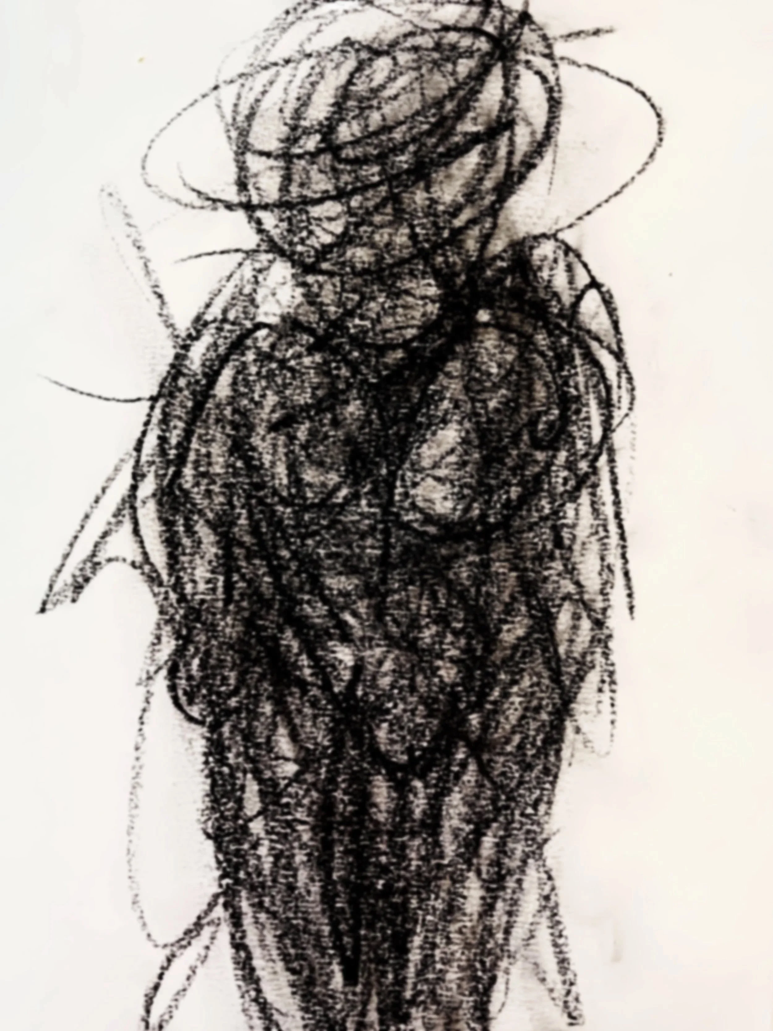 Still, charcoal on paper, 29 x 20 cm, 2025