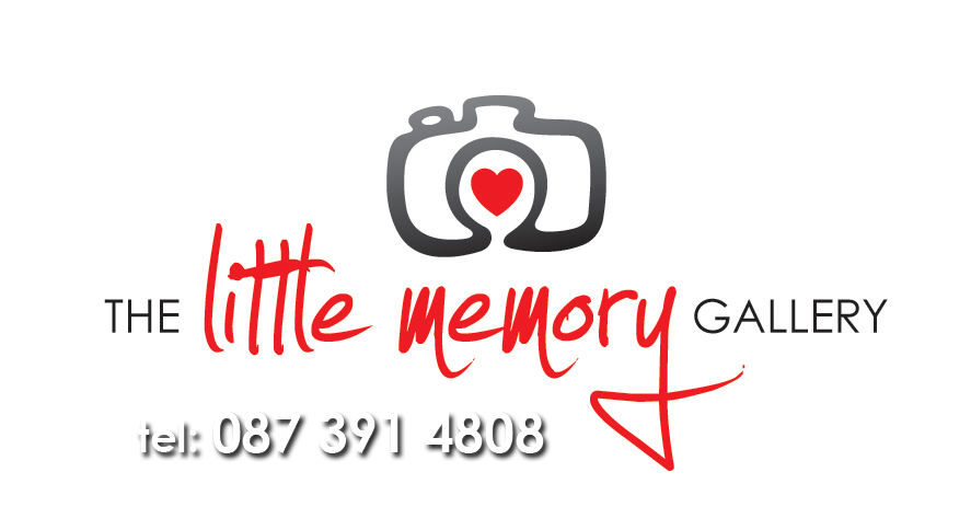 The Little Memory Gallery - Marie Carroll O&#39;Sullivan