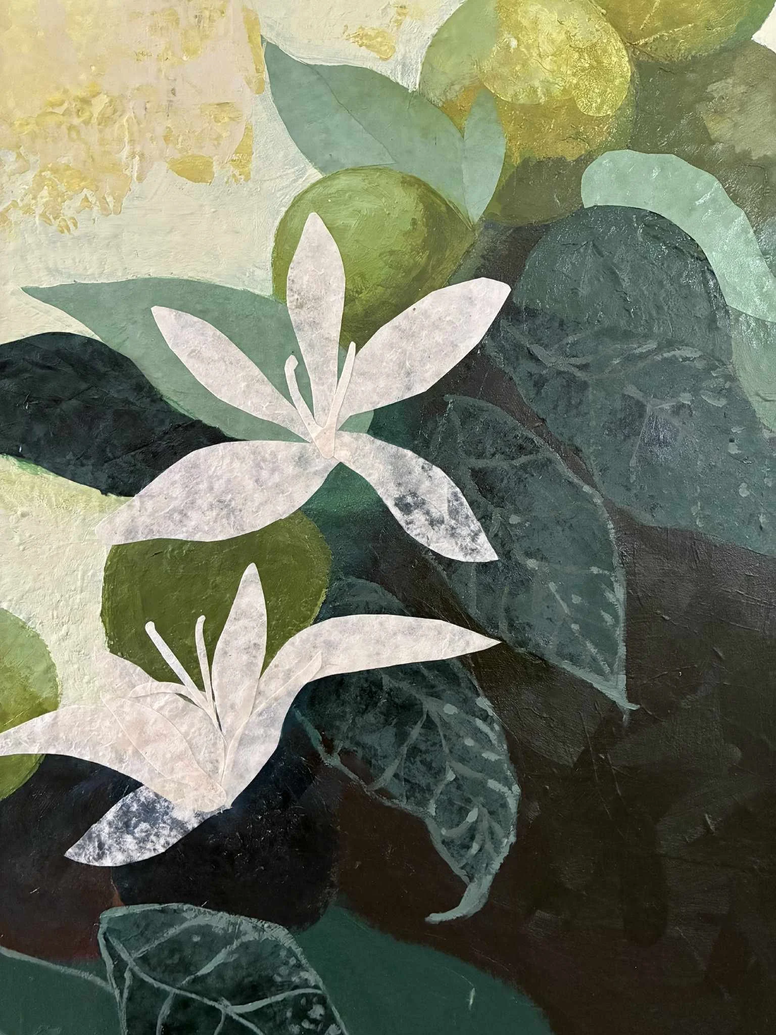 dacd5bf5-b88a-42ed-9243-ab4f403b7f2a (1).jpg