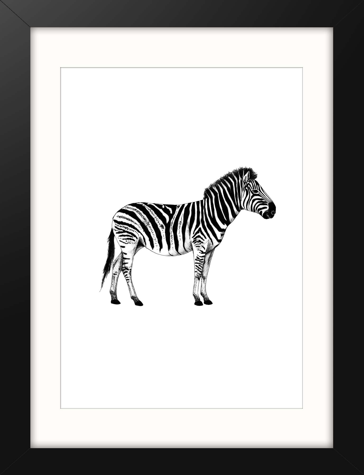 Framed Zebra Print.jpg