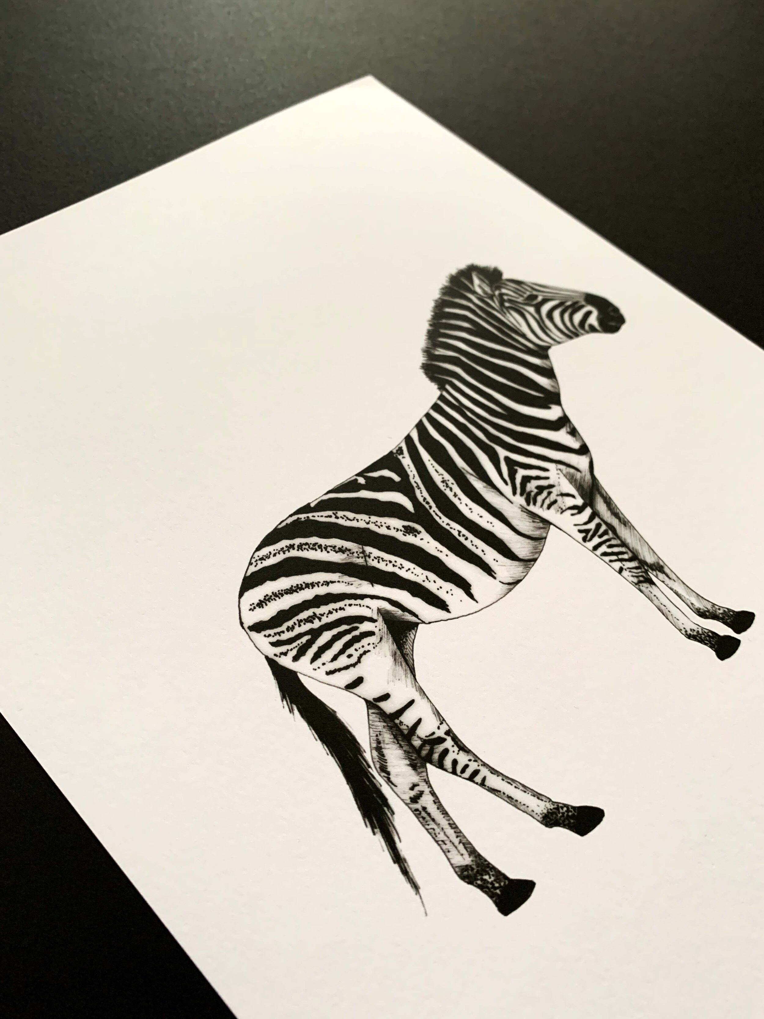 Zebra Angular.jpg