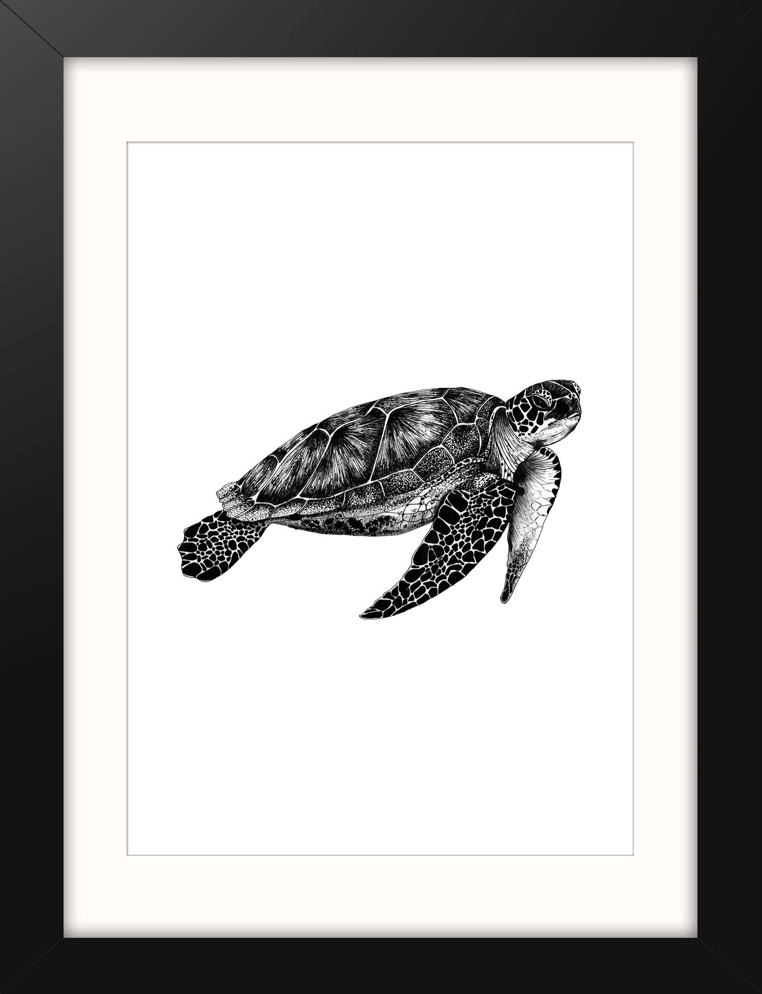 Framed Turtle Print.jpg