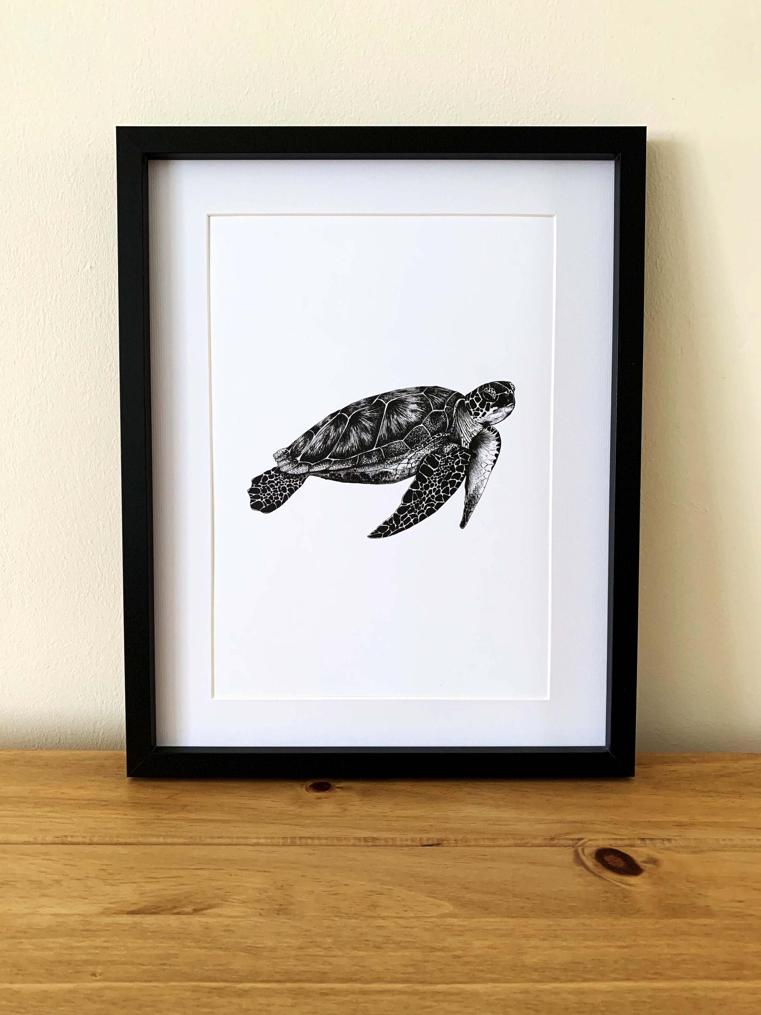 Turtle Framed Print.jpg