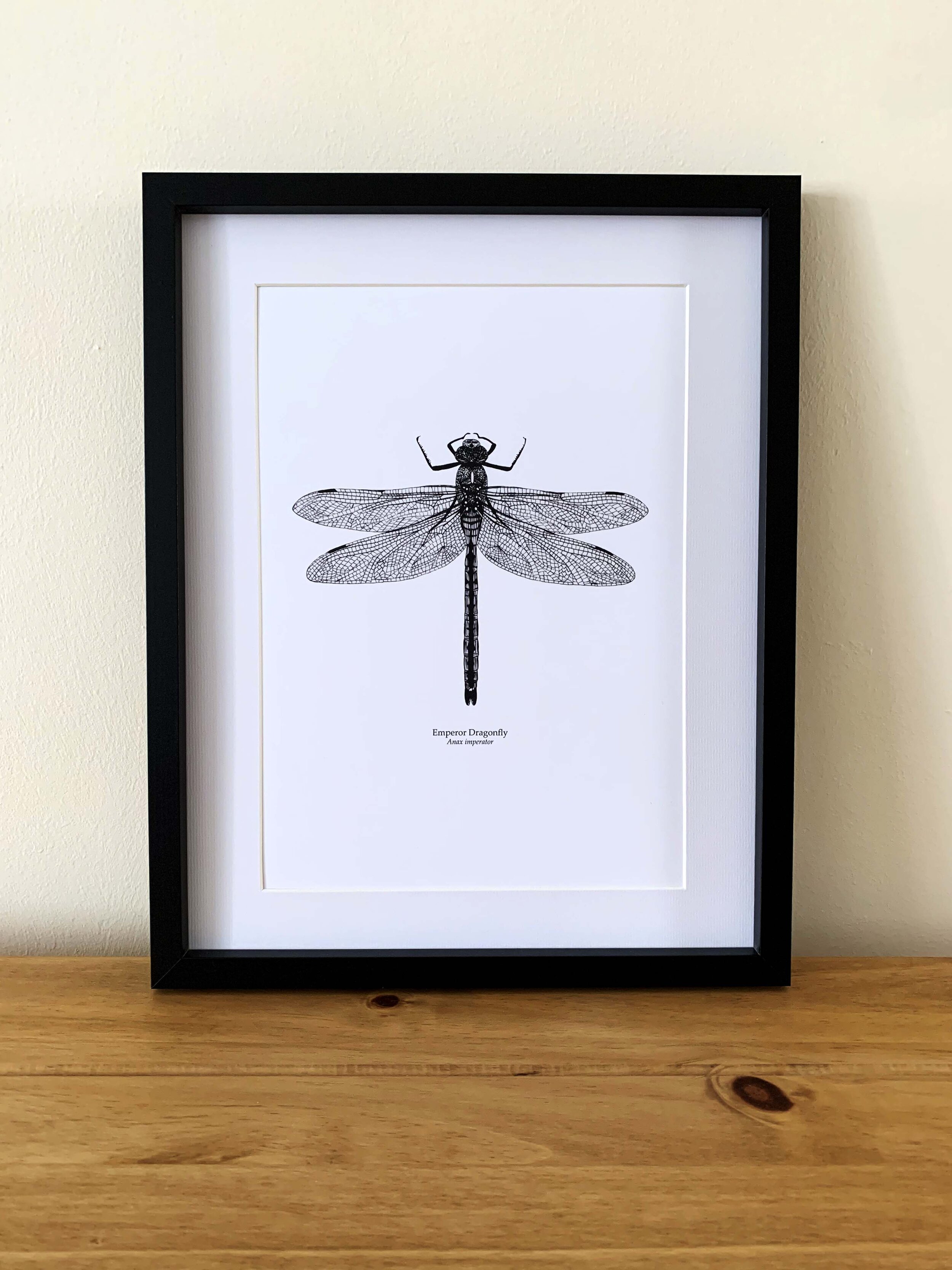 Dragonfly Framed Print.jpg