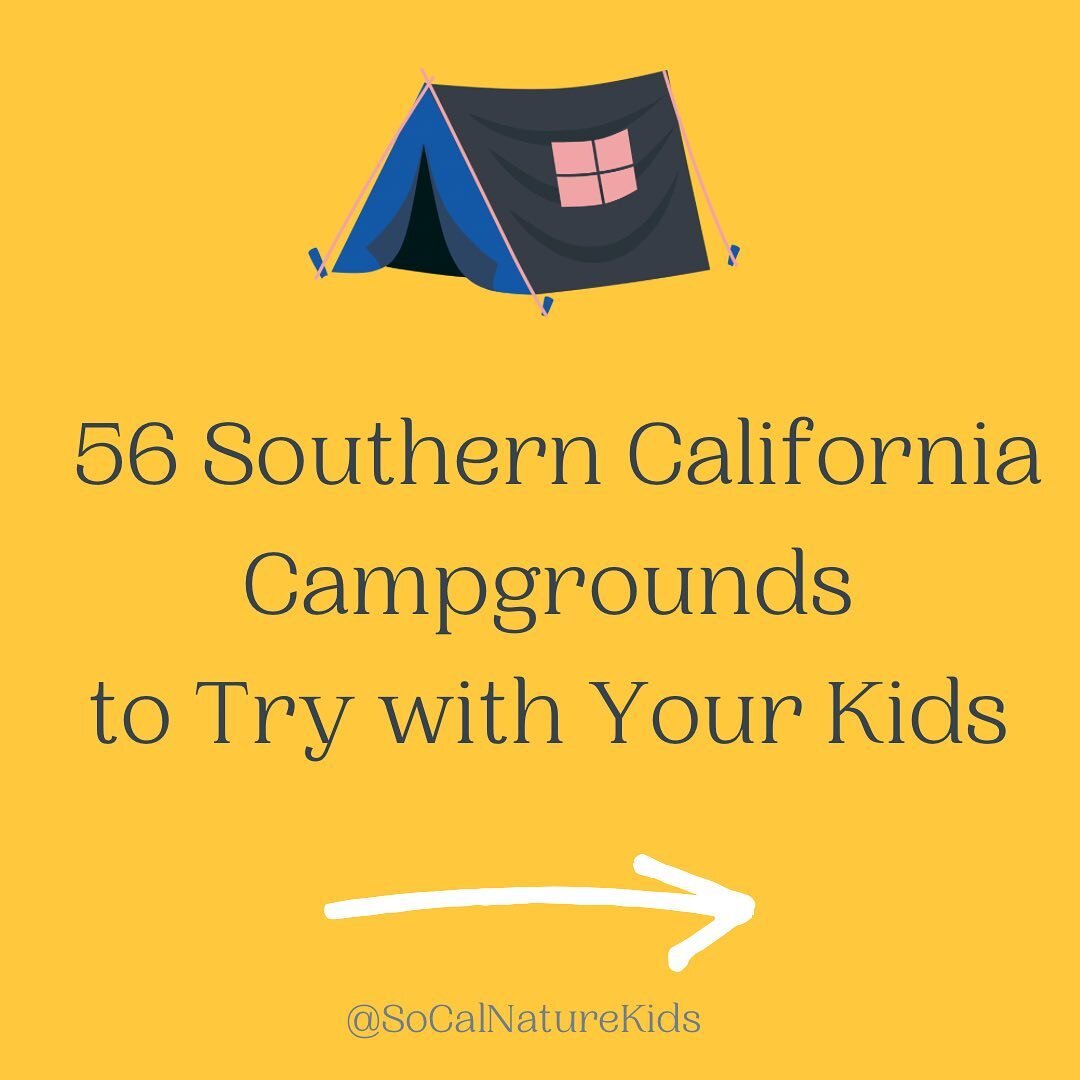 Here are lots of ideas for places to camp with children in Southern California! (Swipe to see them all). 

Have you been to any of these campgrounds? Please leave your reviews (positive or negative!) in the comments so we can learn from each other.