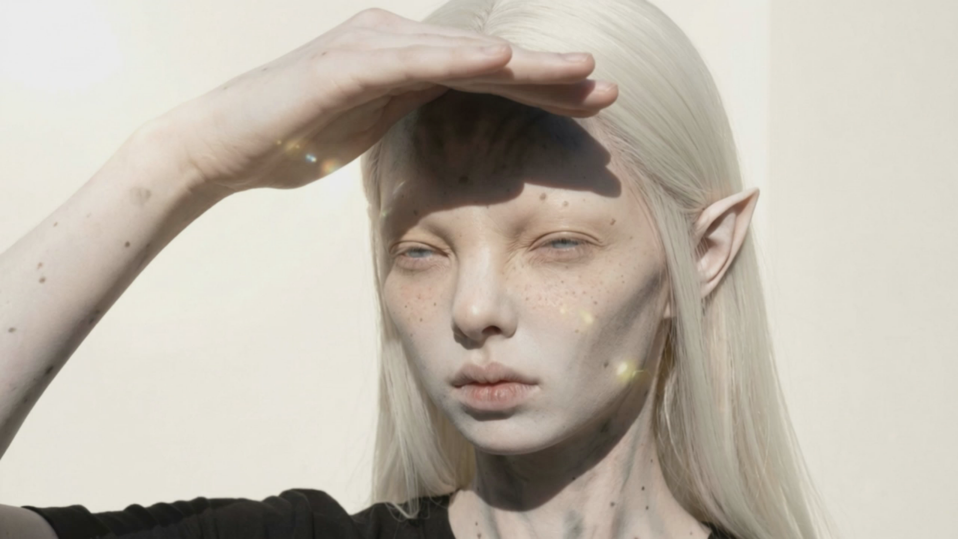 Untitled Project - video (14).png