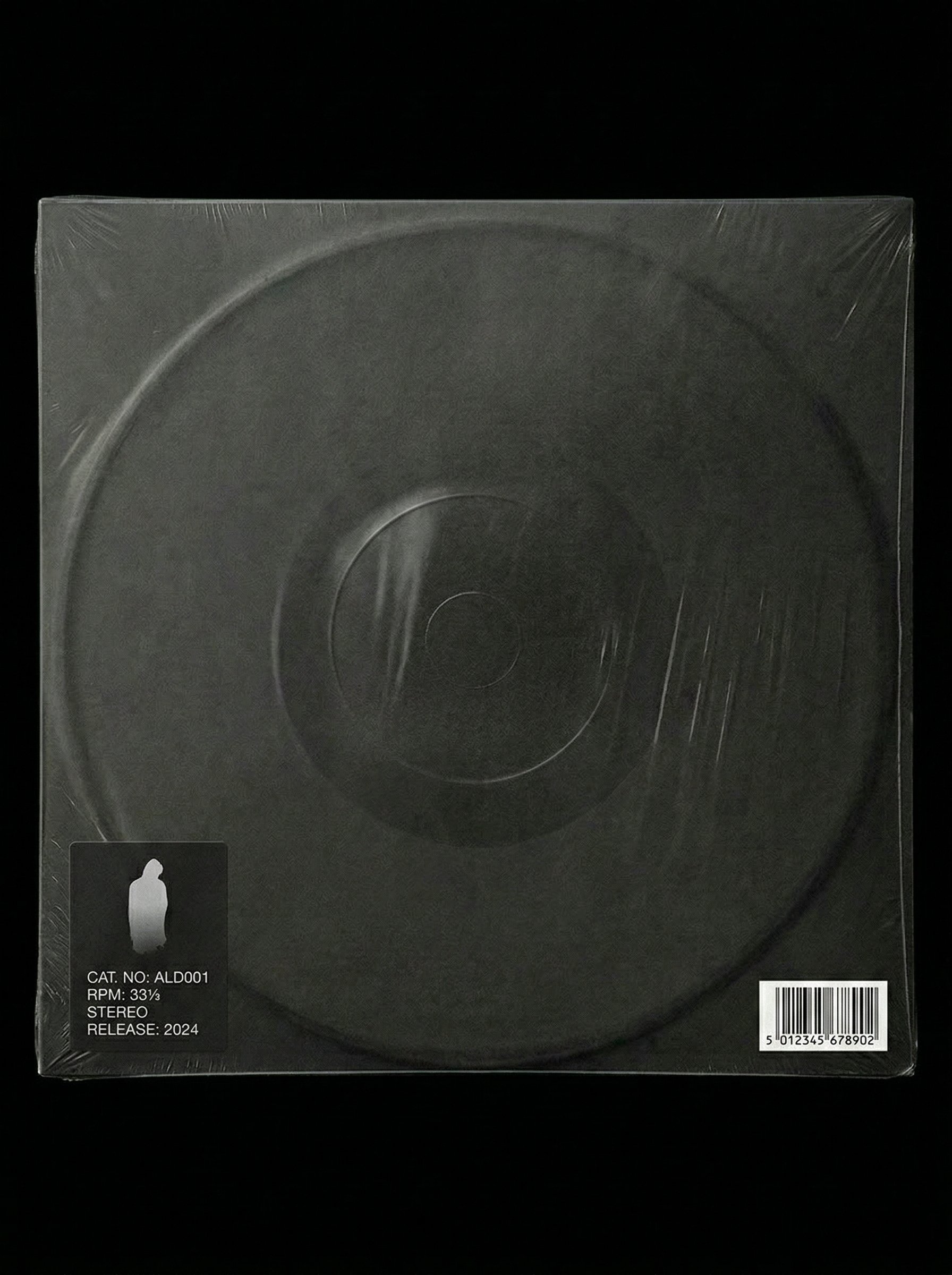 Vinyl Case - back.jpg