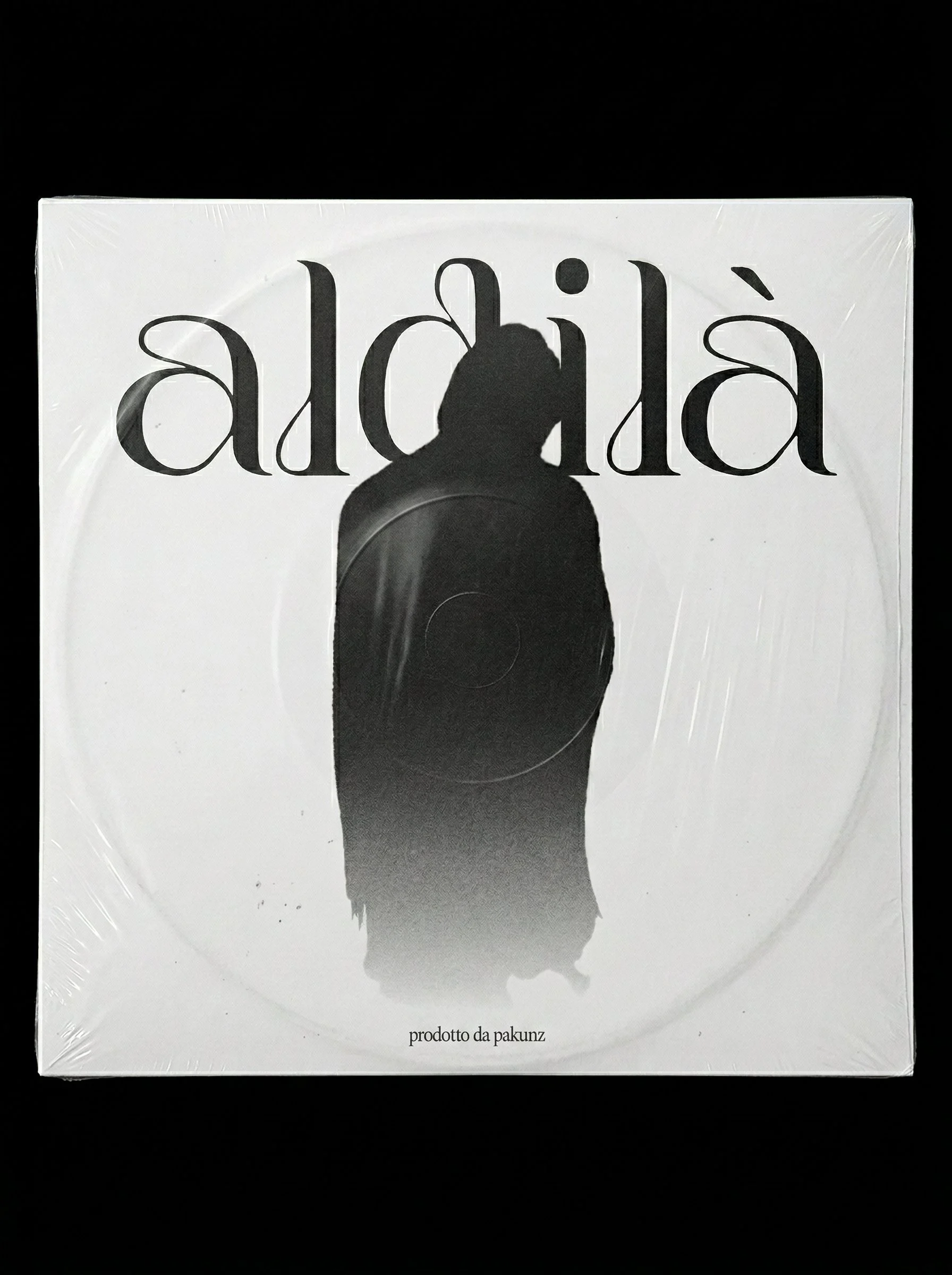 Vinyl Case - front.jpg
