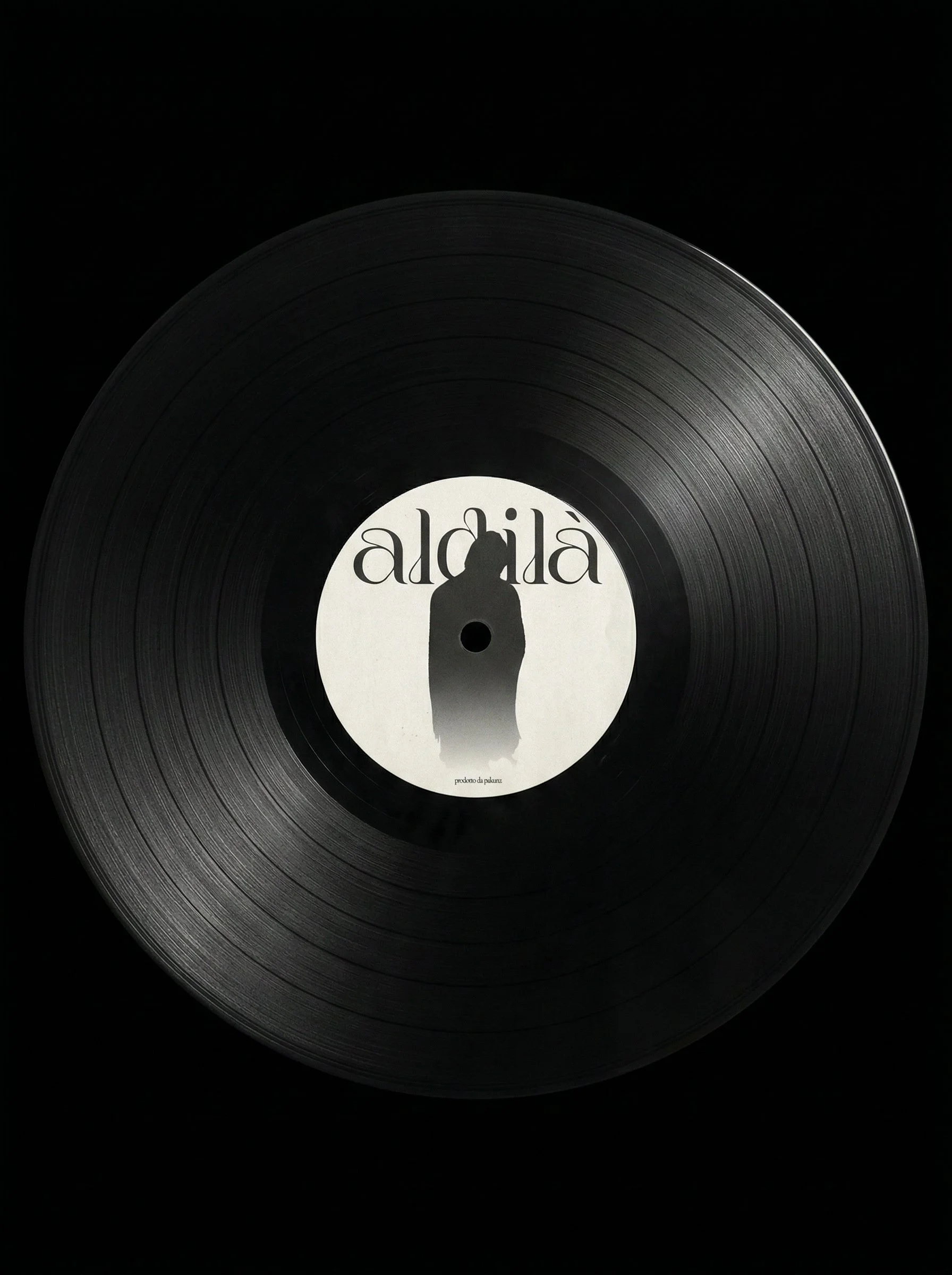 Vinyl Record Design.jpg