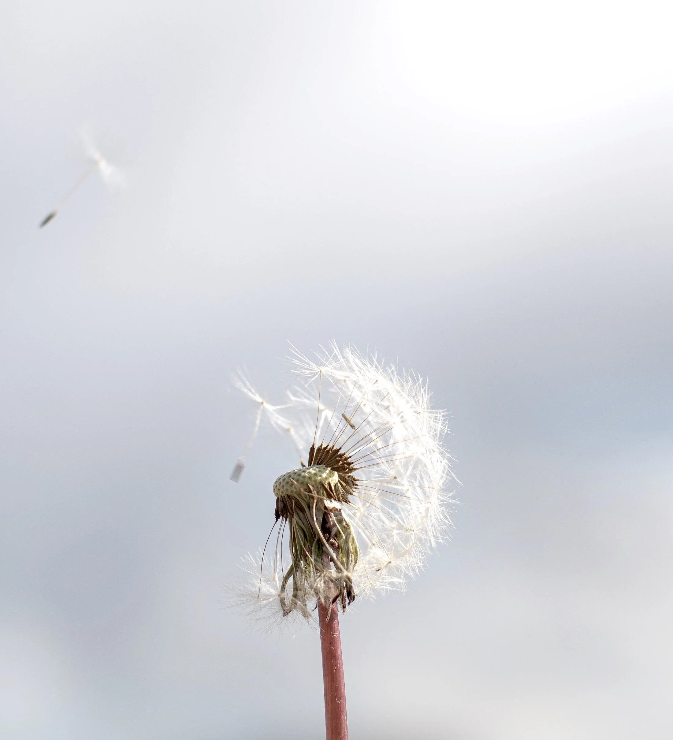 Wish Less, Hope More