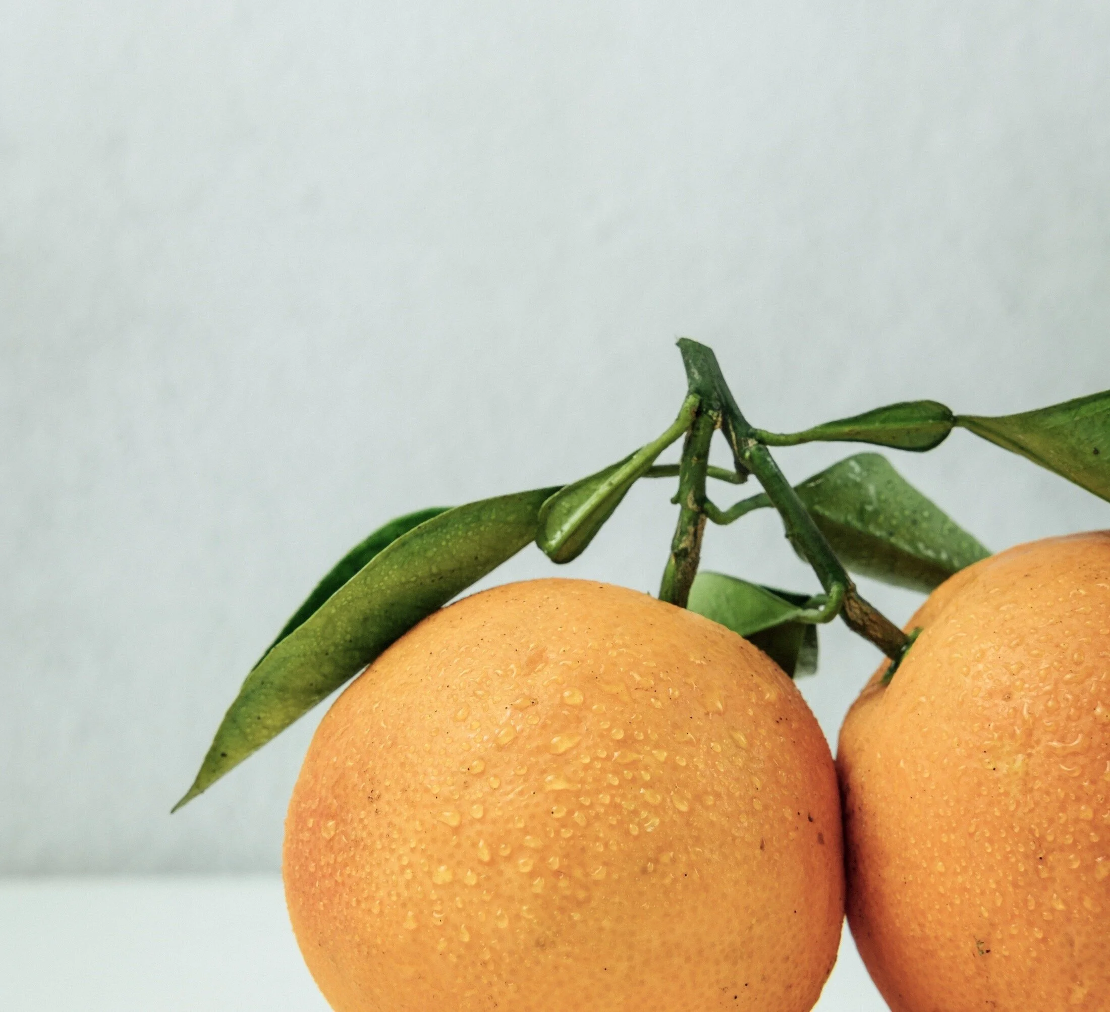 Fruitfulness Versus Success