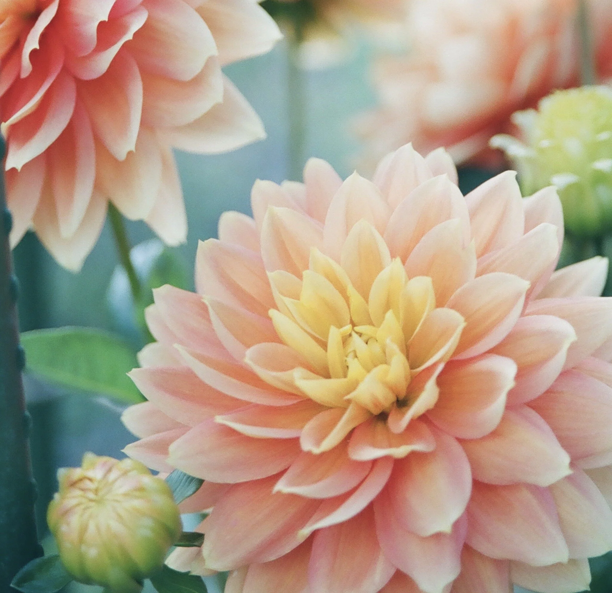 Why Feeling Thankful Is Not The Same Thing As Giving Thanks