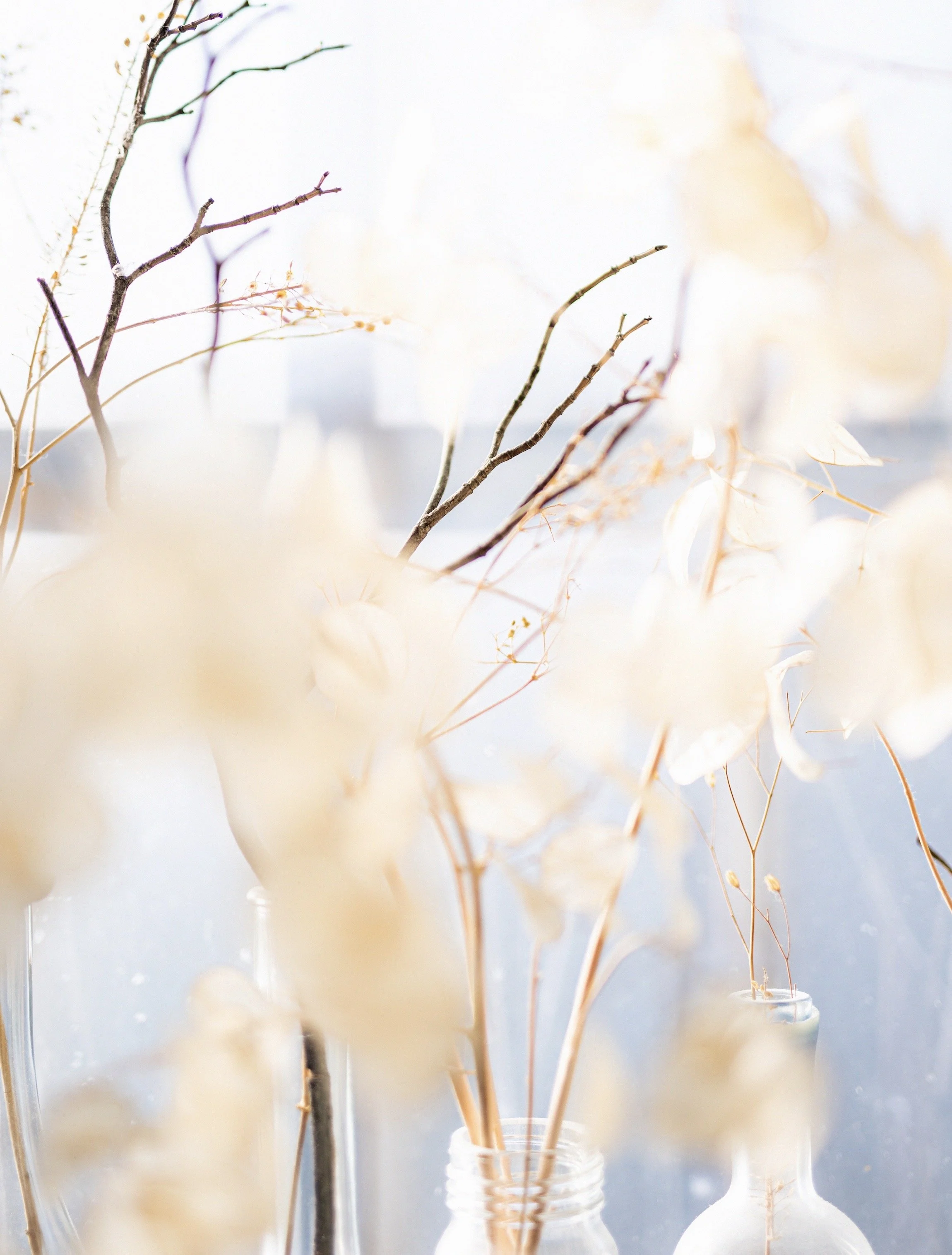 The Difference Between Vulnerability and Transparency