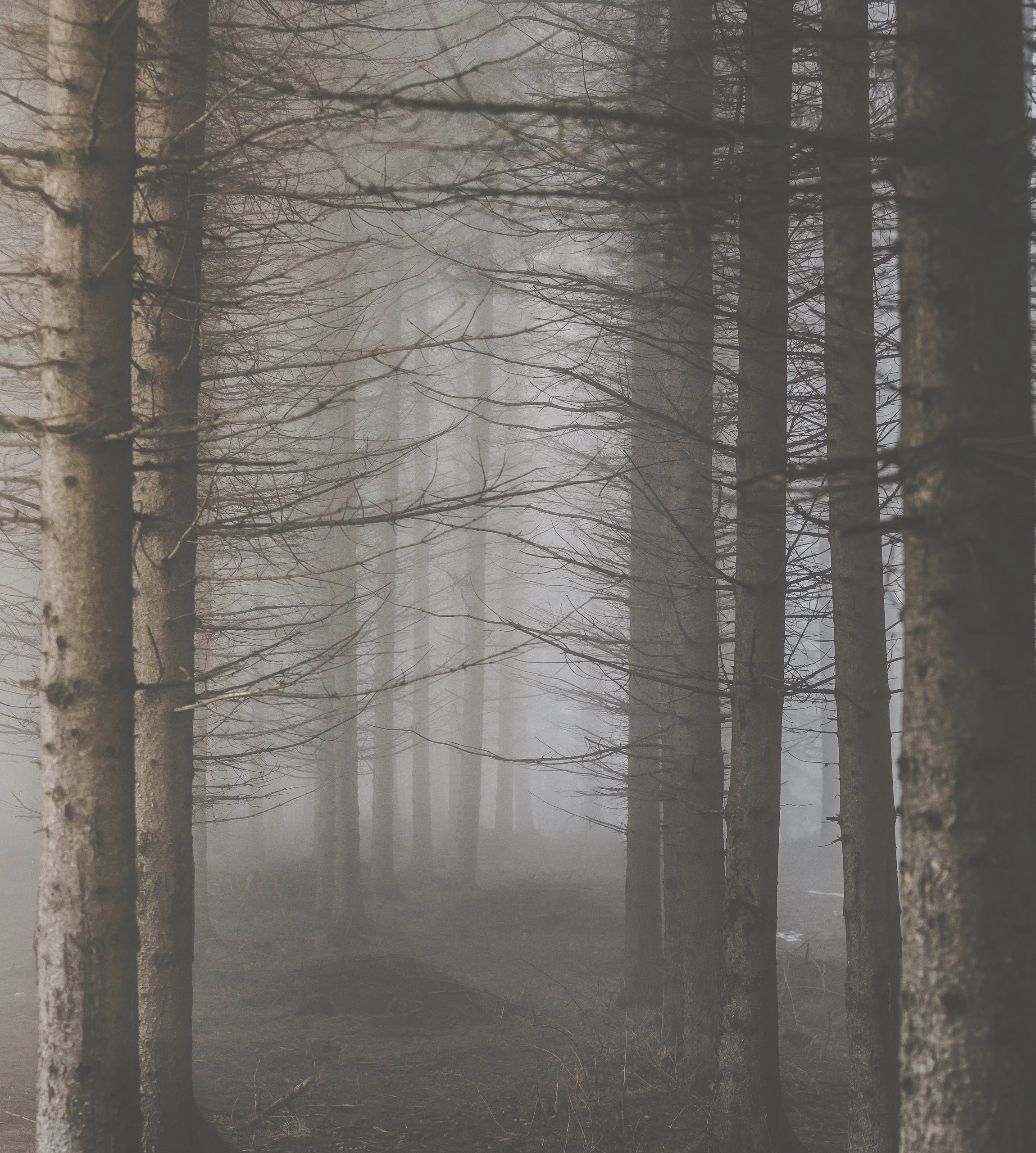 Noticing Without Judgment