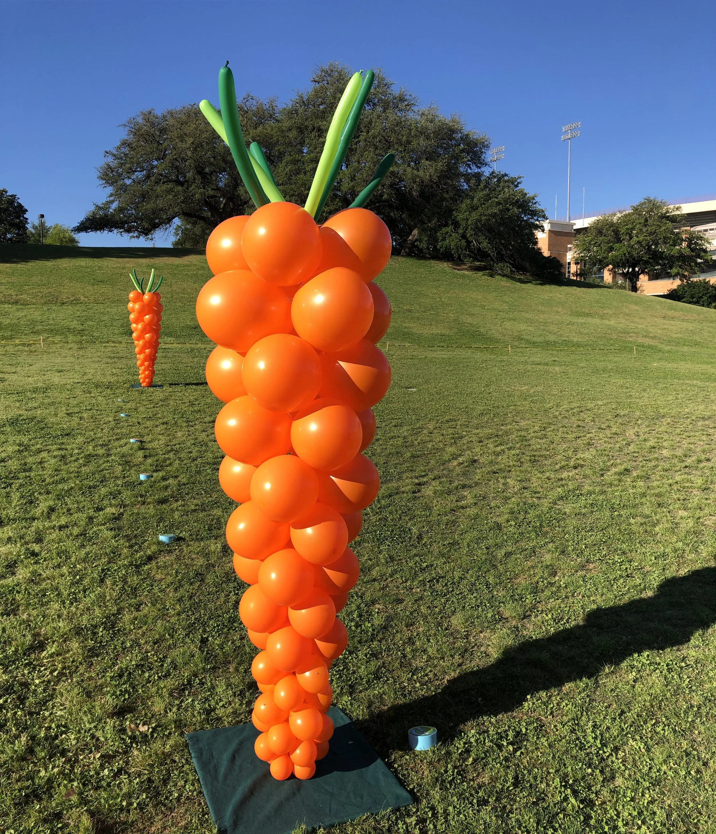 Balloon carrots