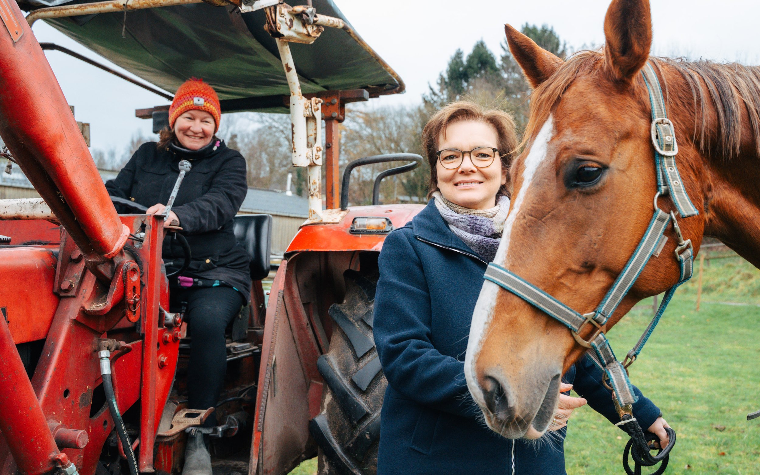 Zwei Frauen mit einem braunen Pferd und einem roten Traktor im Freien, bei kühlem Wetter.
