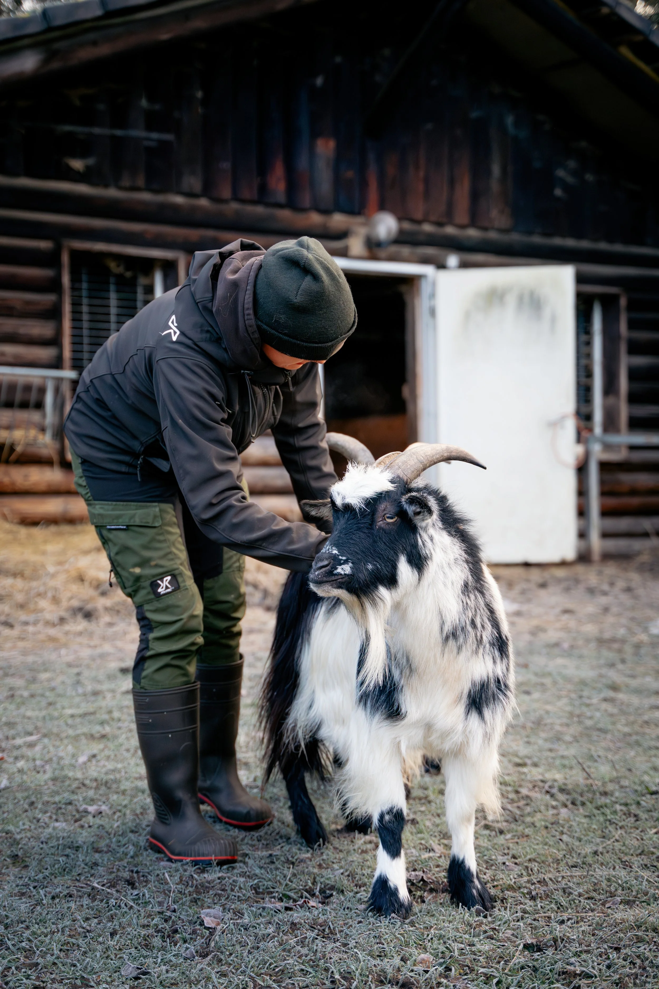 Ein Mensch streichelt eine Ziege auf einem Bauernhof, im Hintergrund ein Holzgebäude.