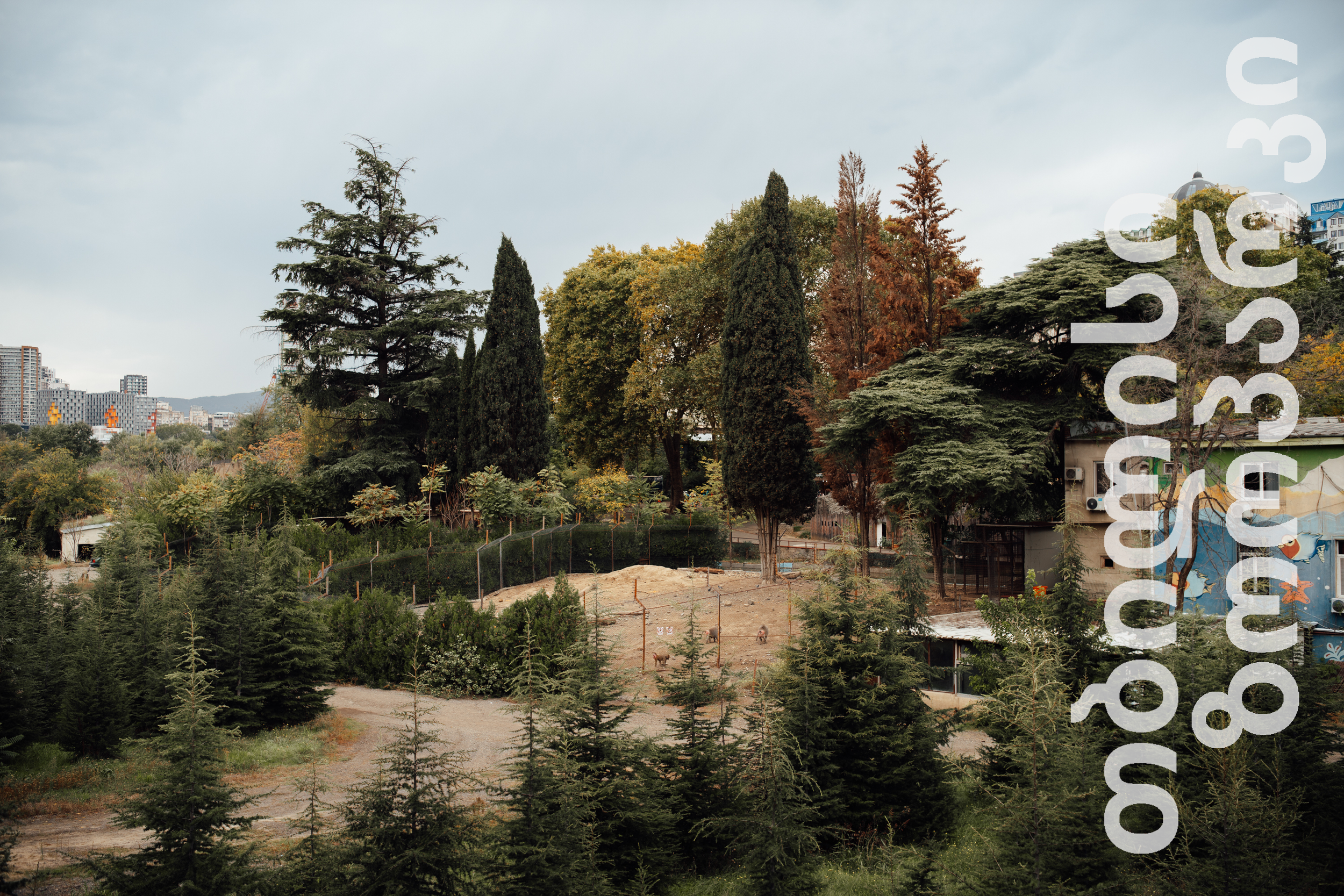Blick auf eine grüne Parkanlage mit vielen Bäumen, darunter Zypressen und Kiefern, im Stadtgebiet bei bewölktem Himmel.