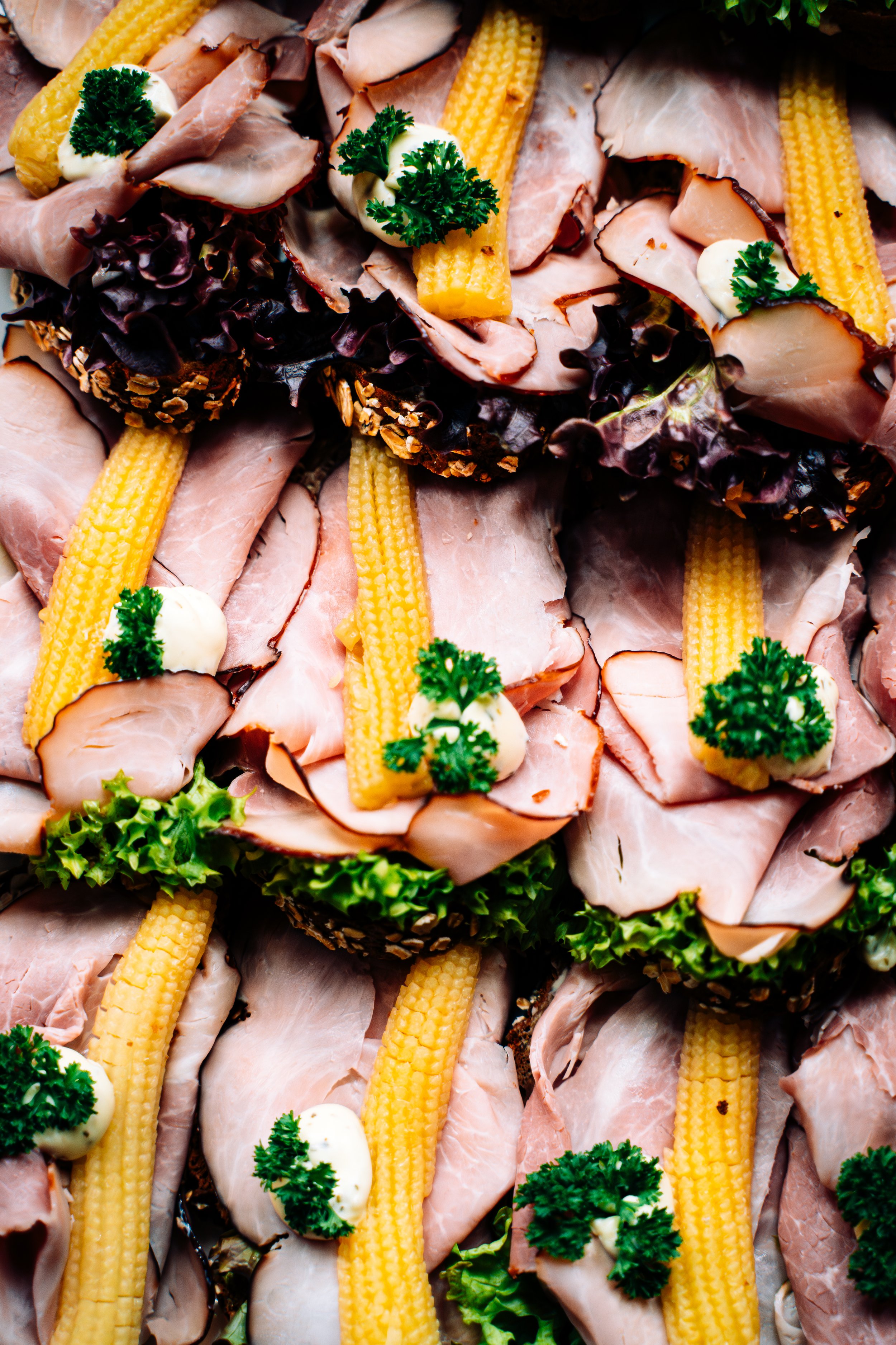 Kalte Fleischplatten mit Schinken, Salatblättern, Gurken, Babymöhren, Petersilie und Mayonnaise