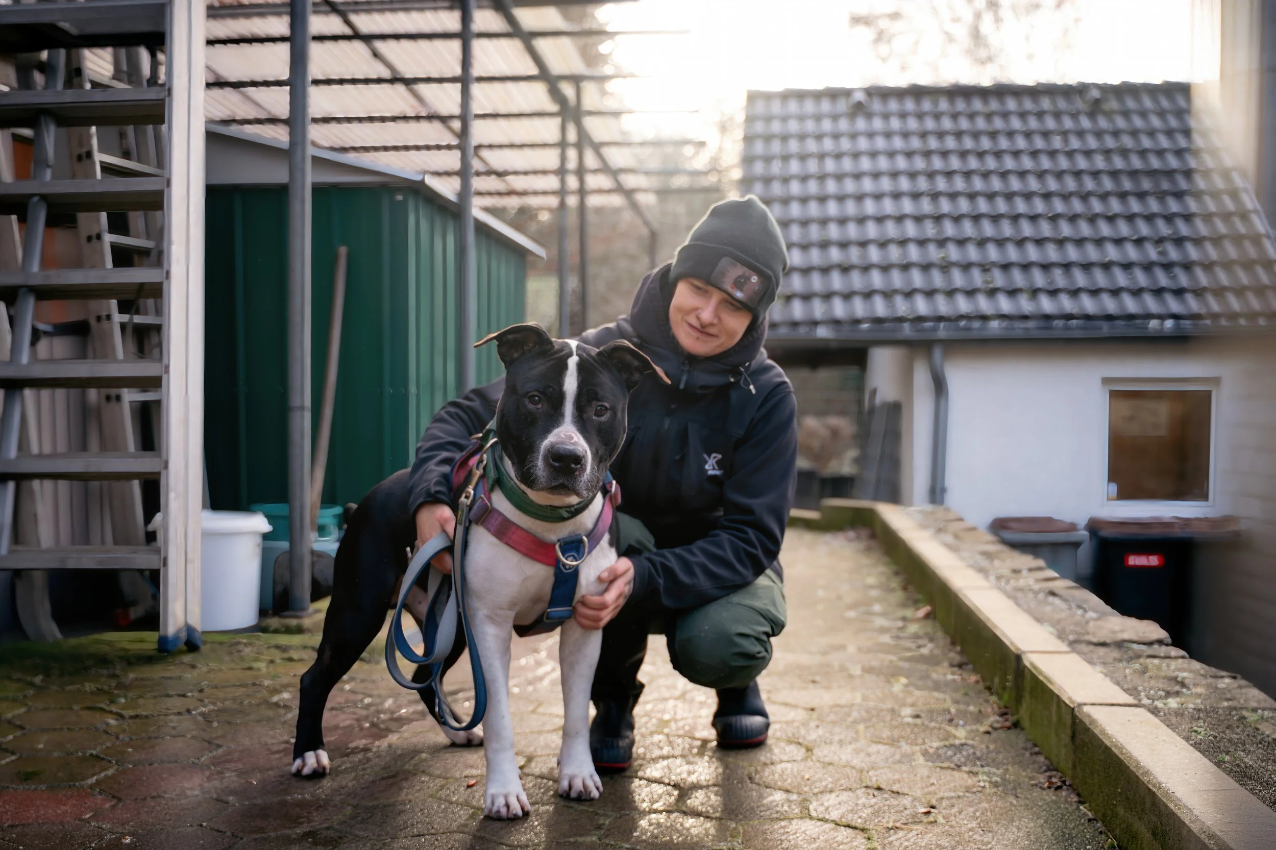 Ein Mann kniet neben einem schwarzen und weißen Hund im Außenbereich bei Sonnenuntergang