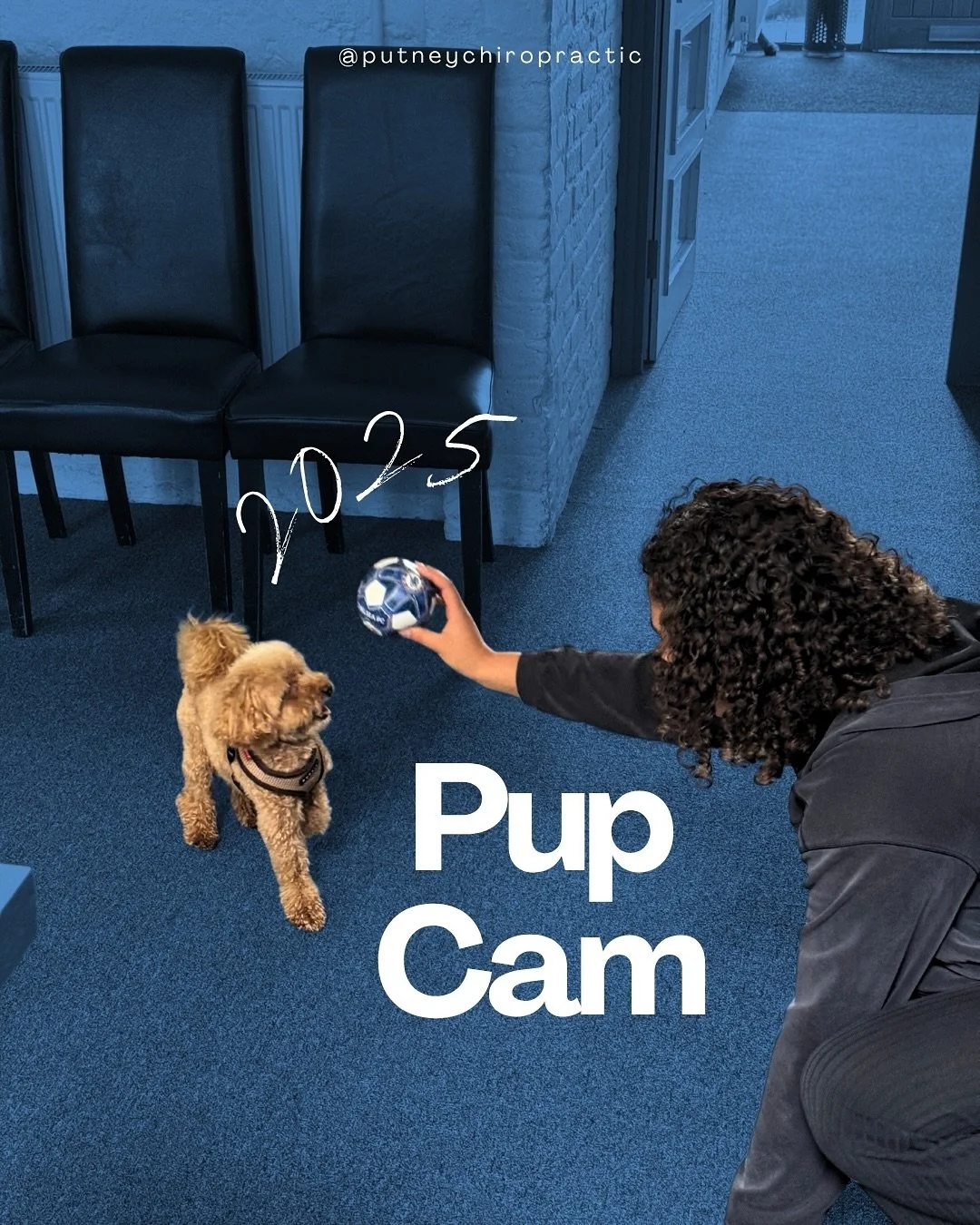 ✨ Because we deserve some pup therapy too 🙂&zwj;↕️

#chiropractic #dogsofinstagram #puplove