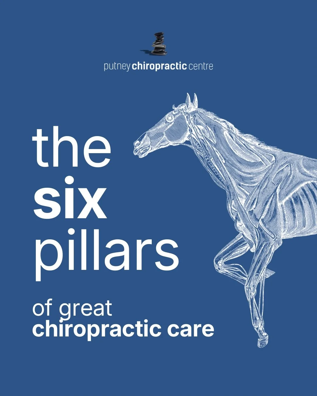 The 6 Pillars of Great Chiropractic Care 🤝

Great results don&rsquo;t just come from the practitioner or the client alone &mdash; they come from the partnership. Here are the 6 pillars that create powerful, lasting outcomes ✨
