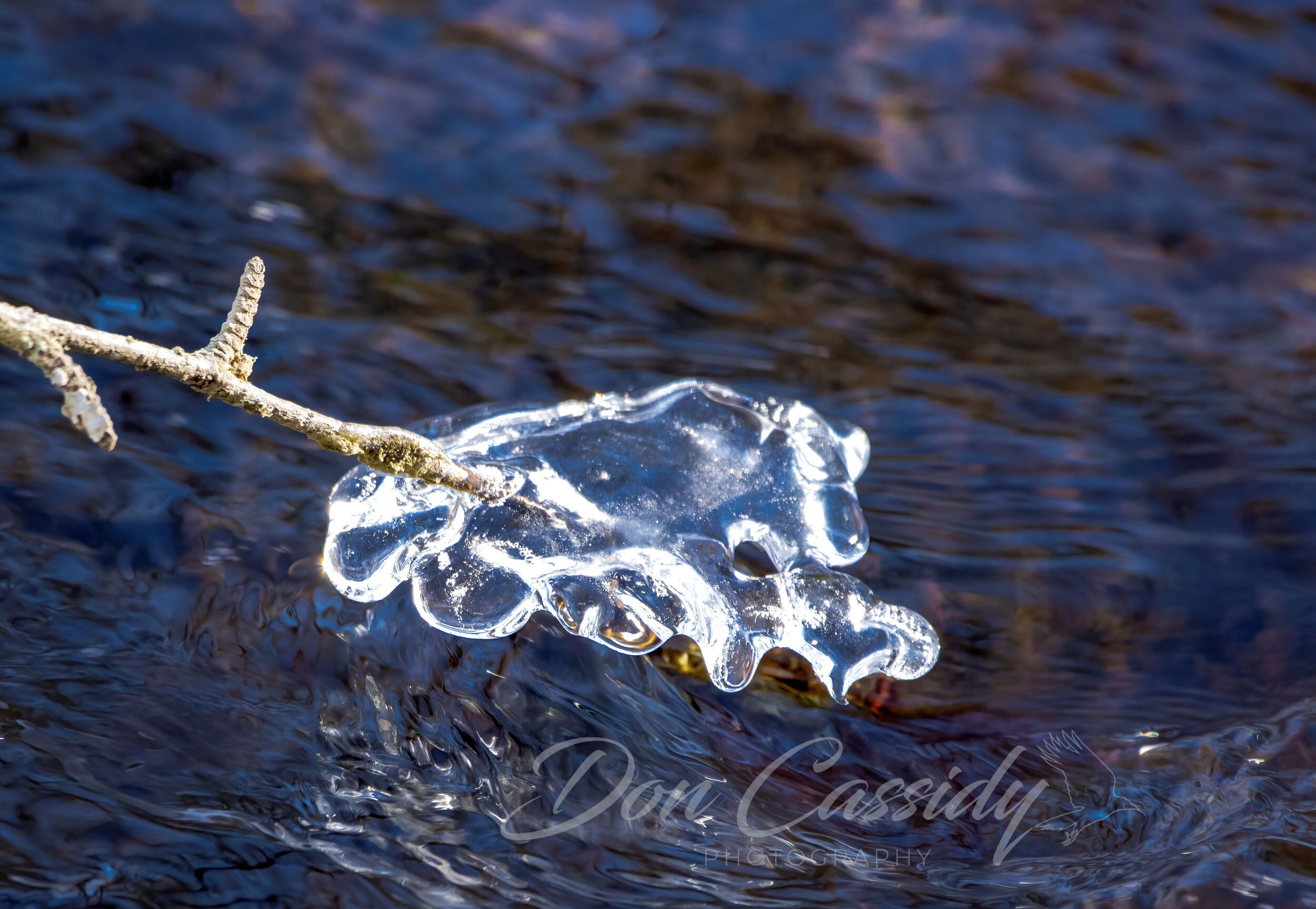 Shapes in the Icicles