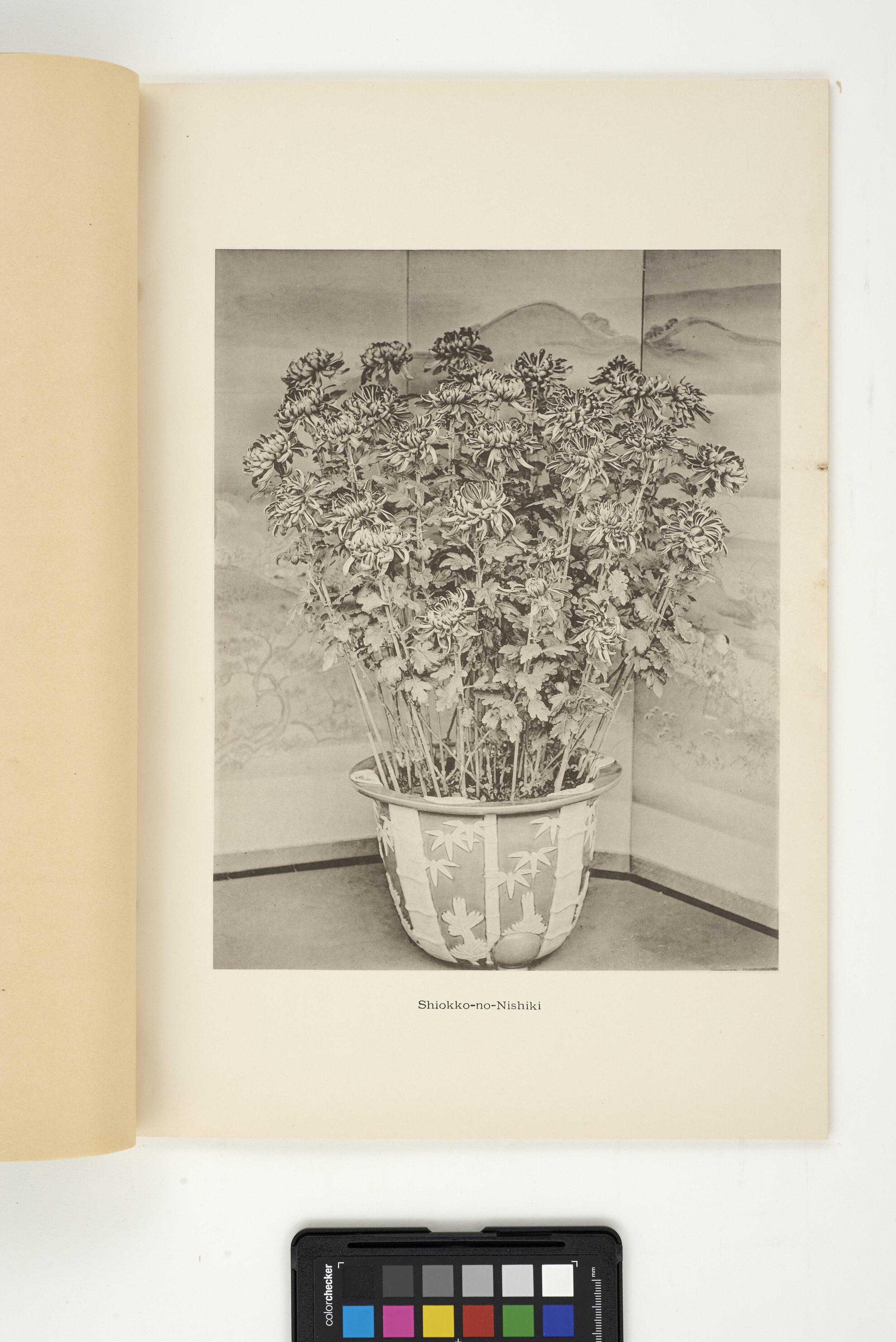 OGAWAbooks_4_03.jpg