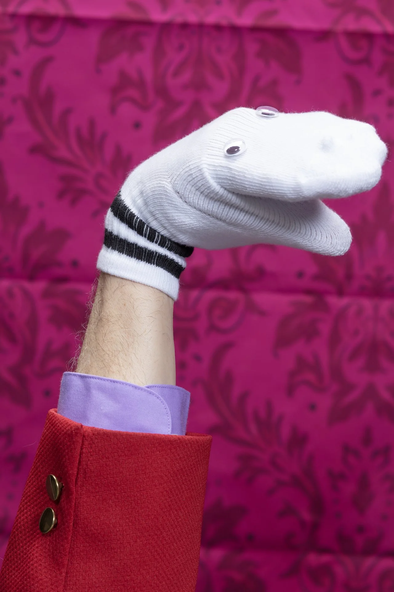 A puppet with a sock for a head, googly eyes, wearing a red coat and a lavender shirt with a purple cuff, is set against a pink background with a dark floral pattern.