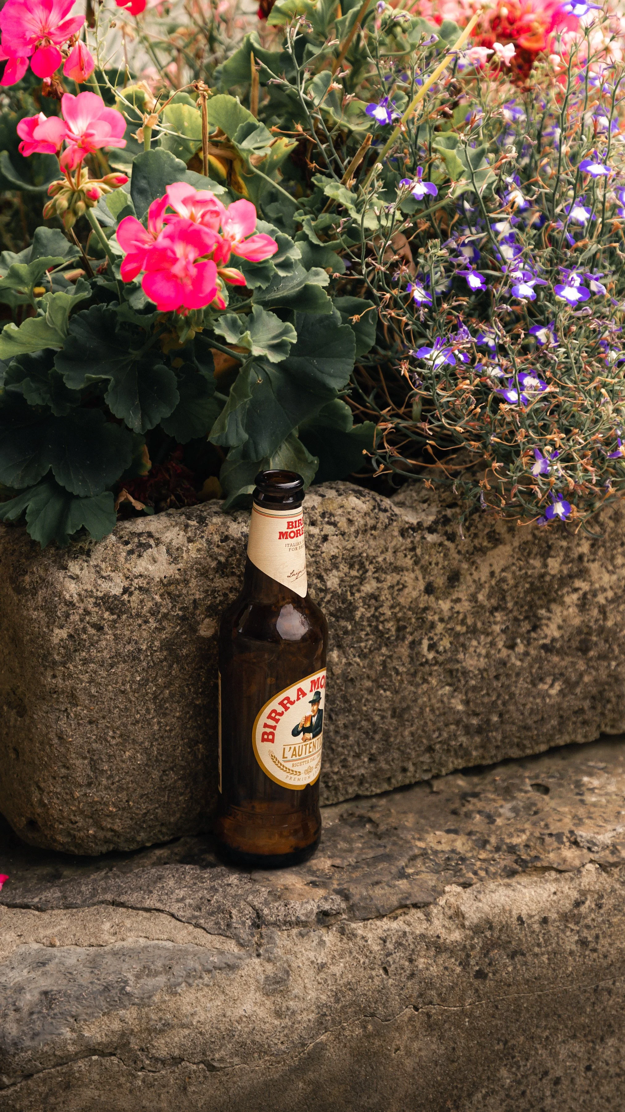 A brown beer bottle with a label reading 'Birra Moretti' leaning against a large stone, surrounded by pink and purple flowers and green foliage.