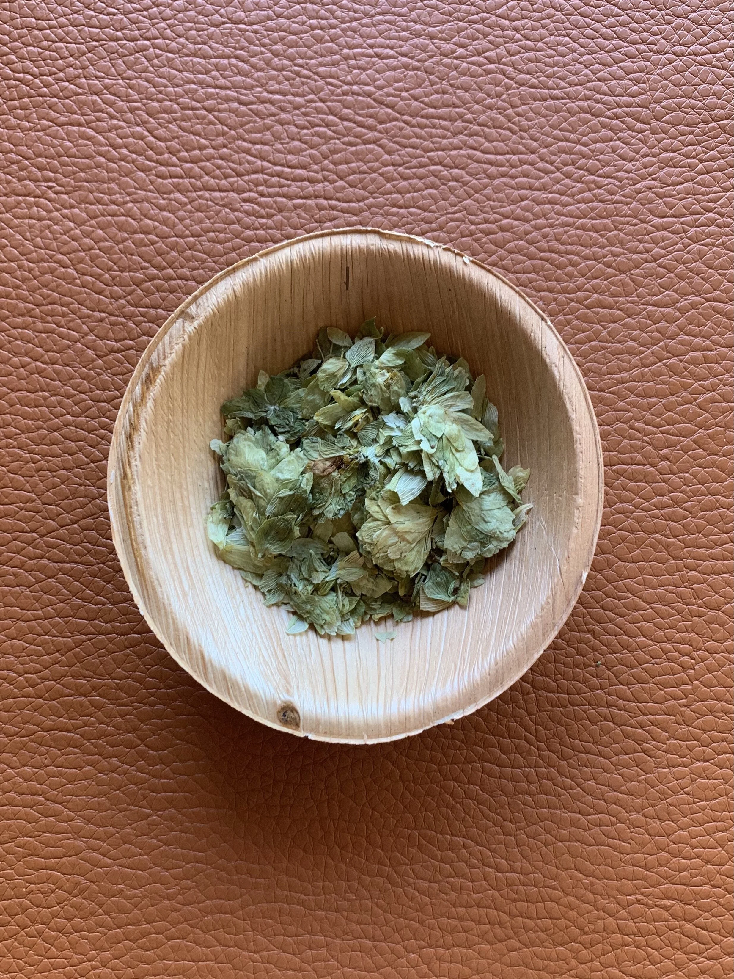 Humulus Lupulus