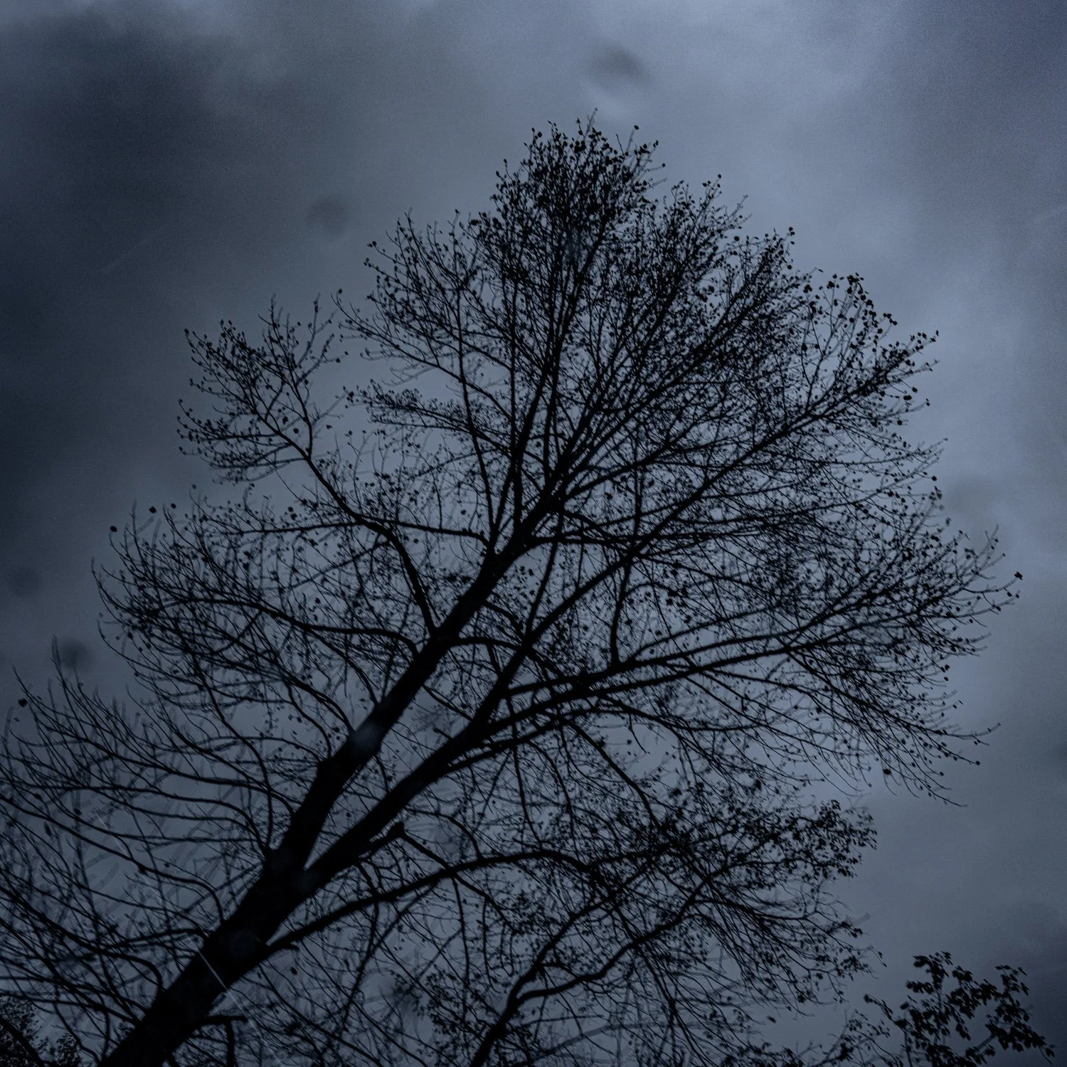 A7500439Renato Rampolla.jpg