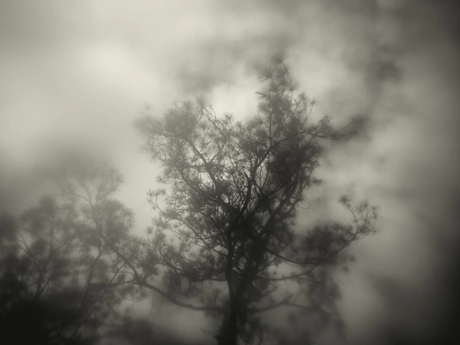 A7500188Renato Rampolla.jpg