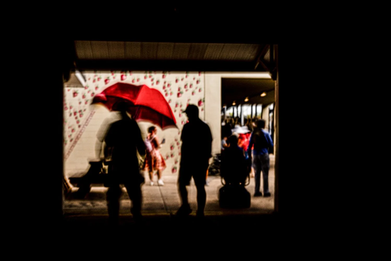 A7500063Renato Rampolla.jpg