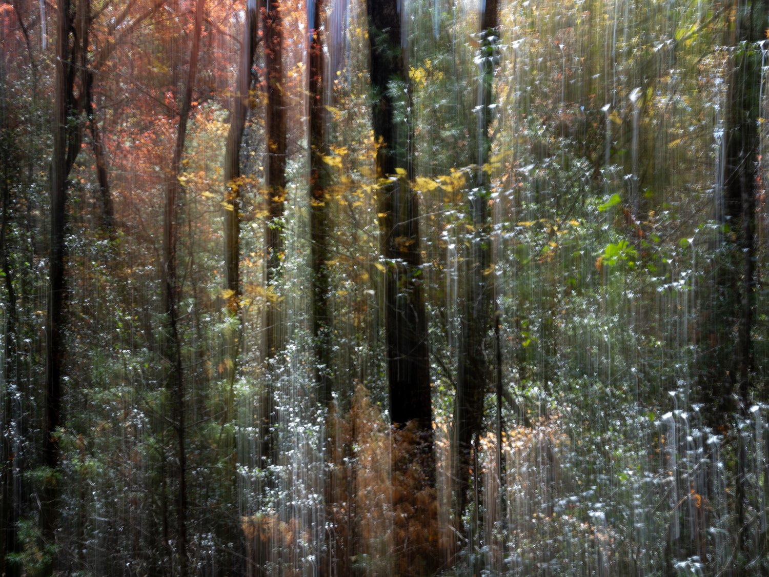 A7500772Renato Rampolla.jpg