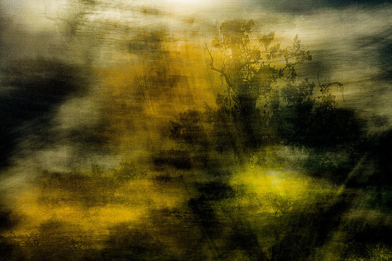 TITLE RENATO RAMPOLLA-3Renato Rampolla.jpg