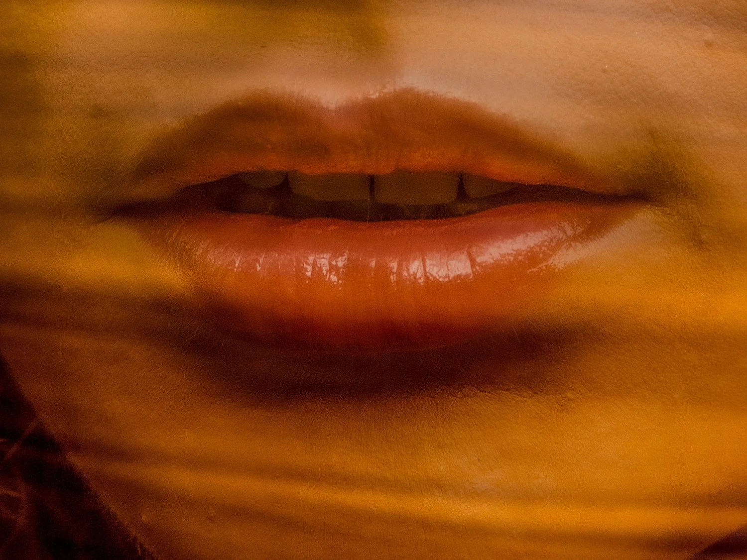 TITLE RENATO RAMPOLLA-69-EditRenato Rampolla.jpg