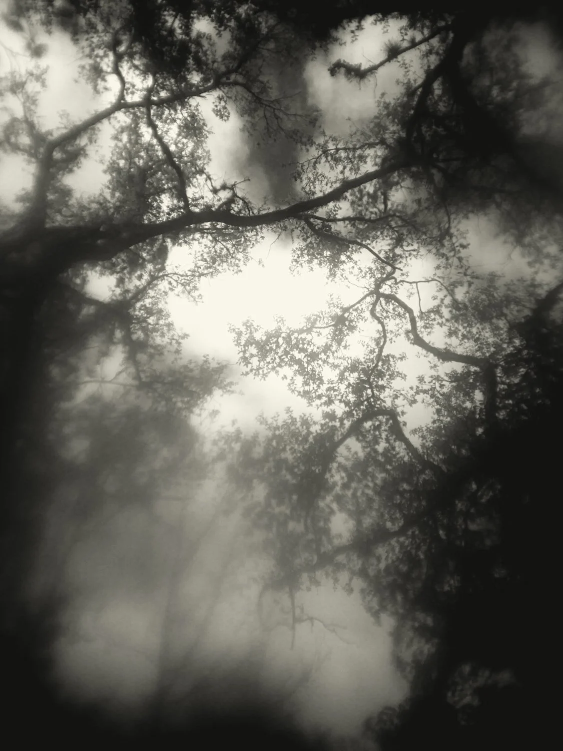 A7500184Renato Rampolla-2.jpg