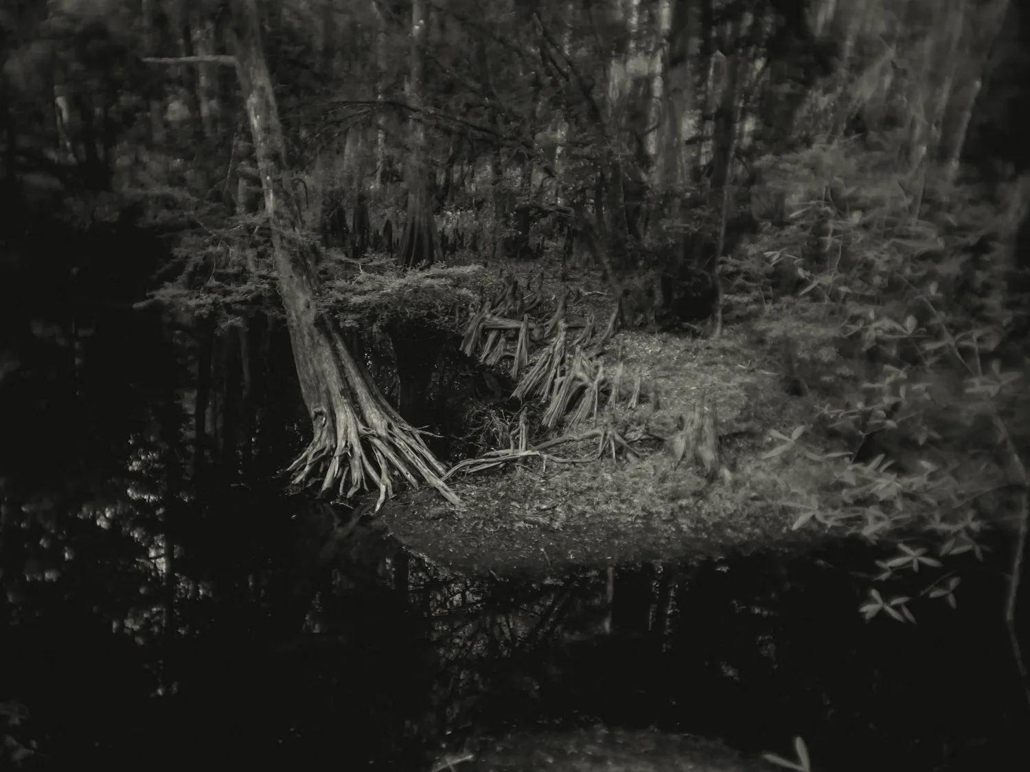 A7500213Renato Rampolla.jpg