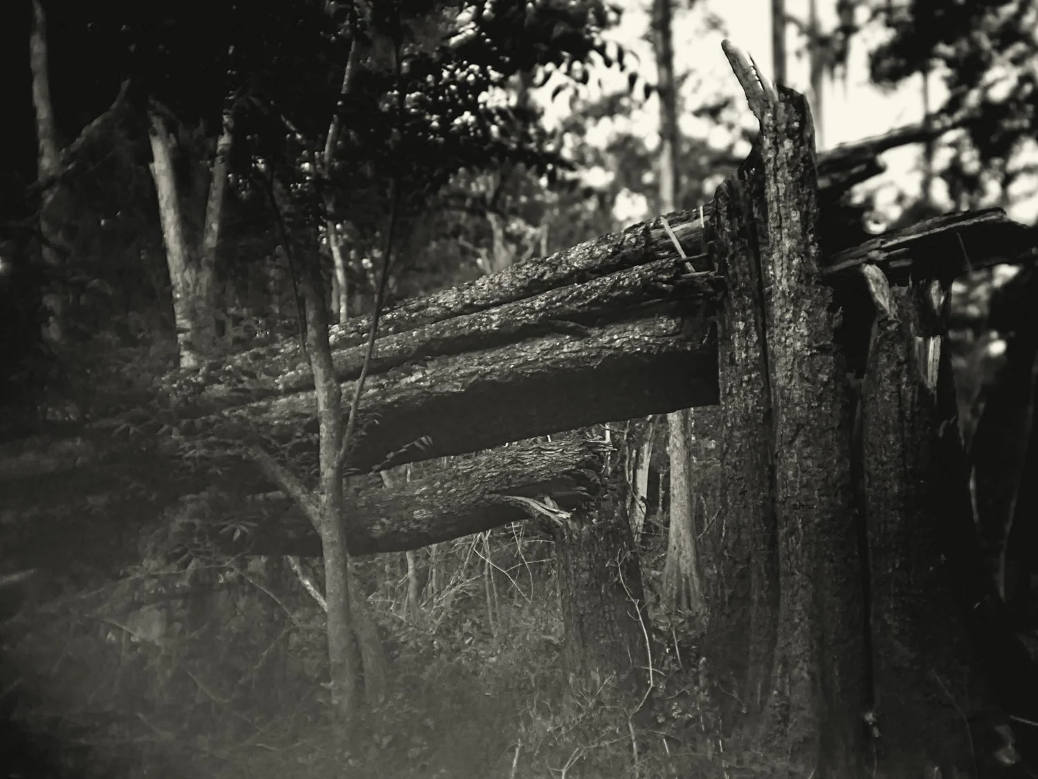 A7500170Renato Rampolla.jpg