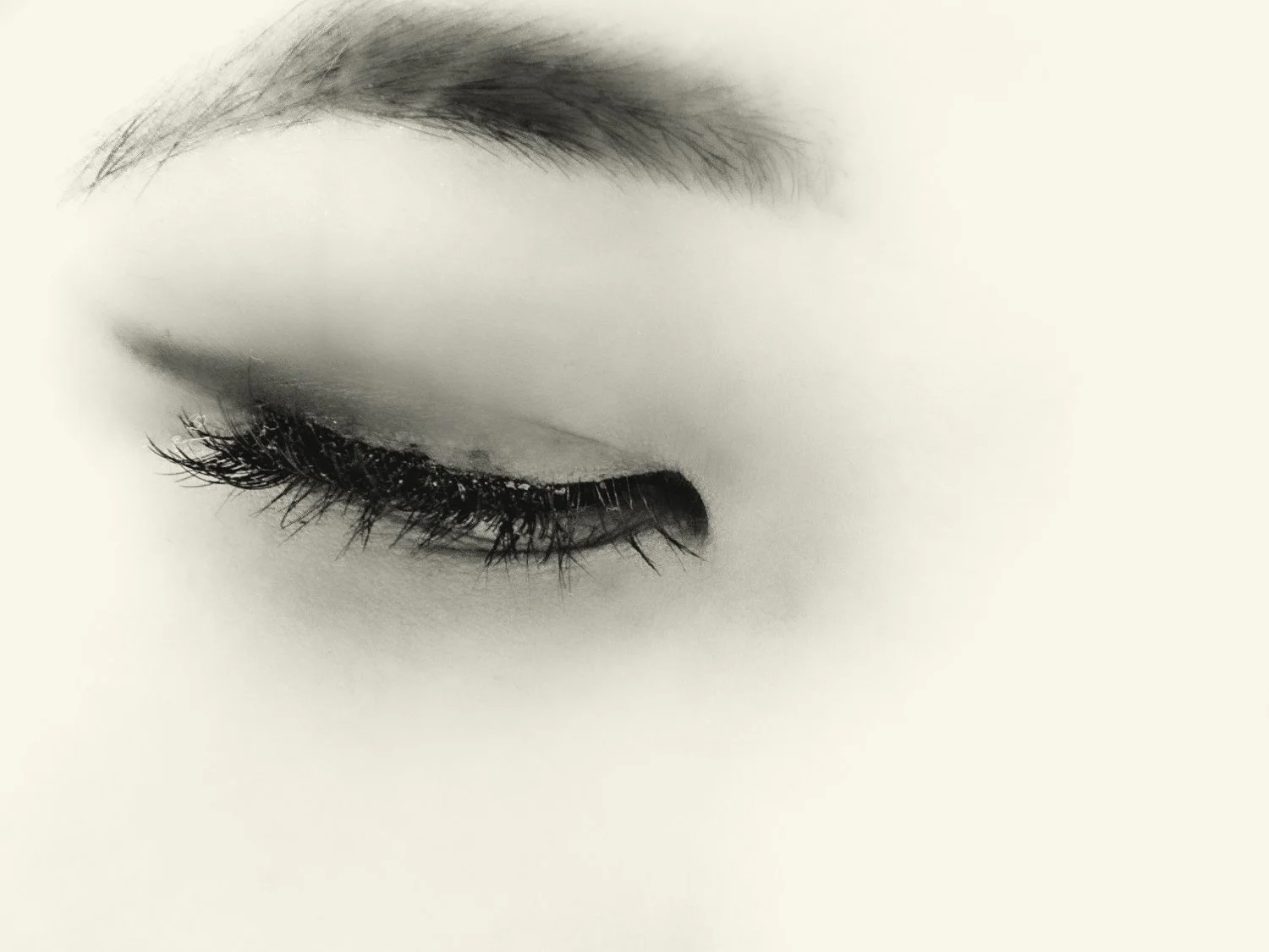 TITLE RENATO RAMPOLLA-168Renato Rampolla.jpg