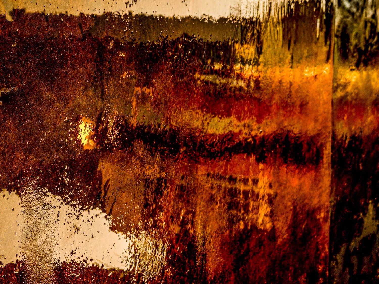 A7500312Renato Rampolla.jpg