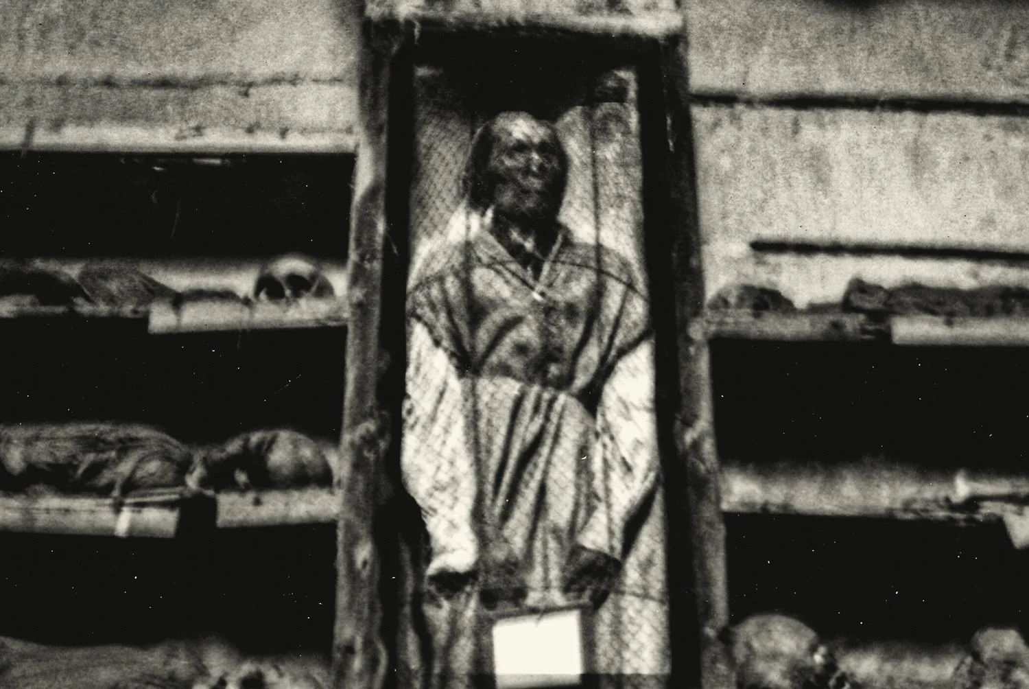 IMG_0009 copyRenato Rampolla.jpg