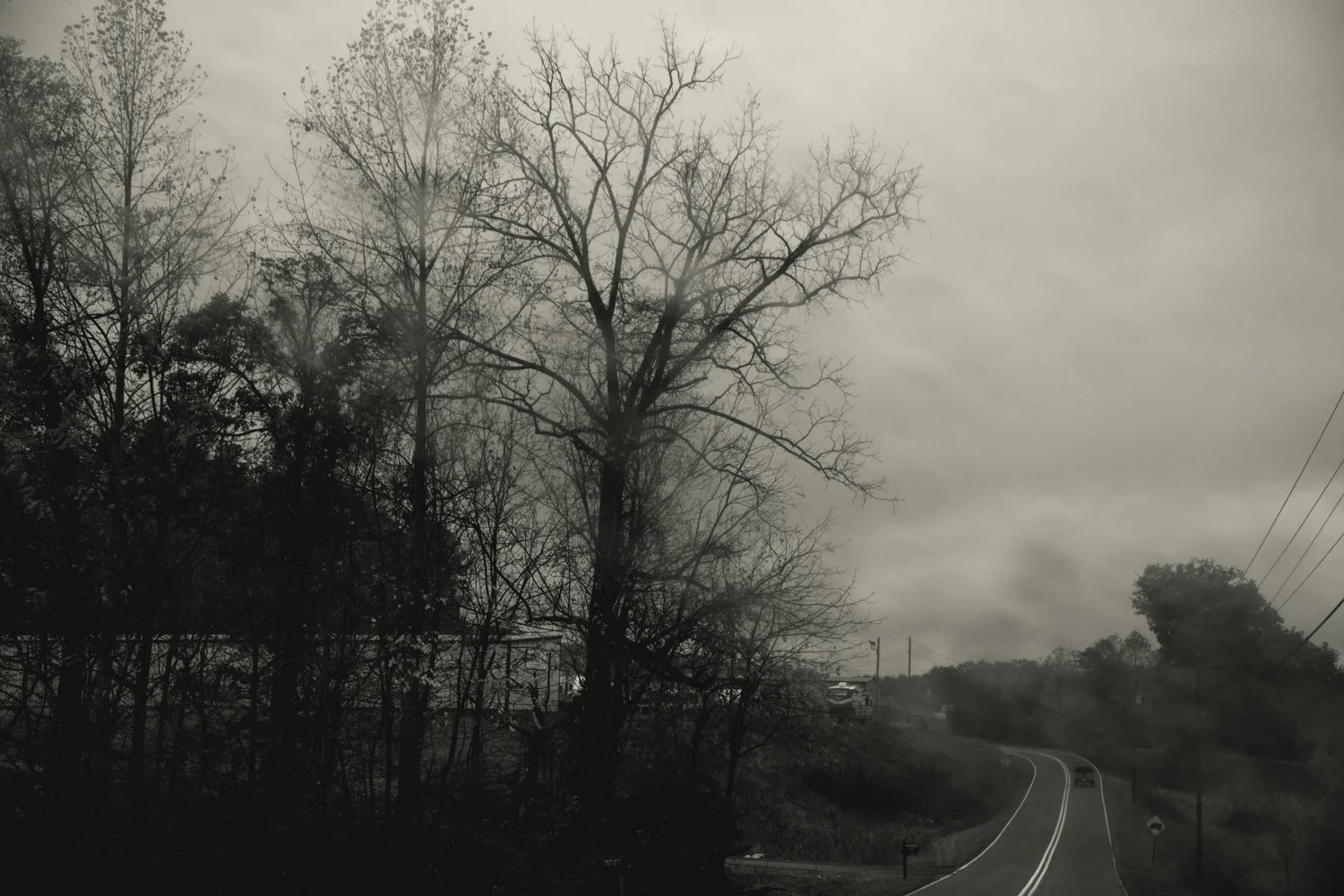 A7500467Renato Rampolla.jpg