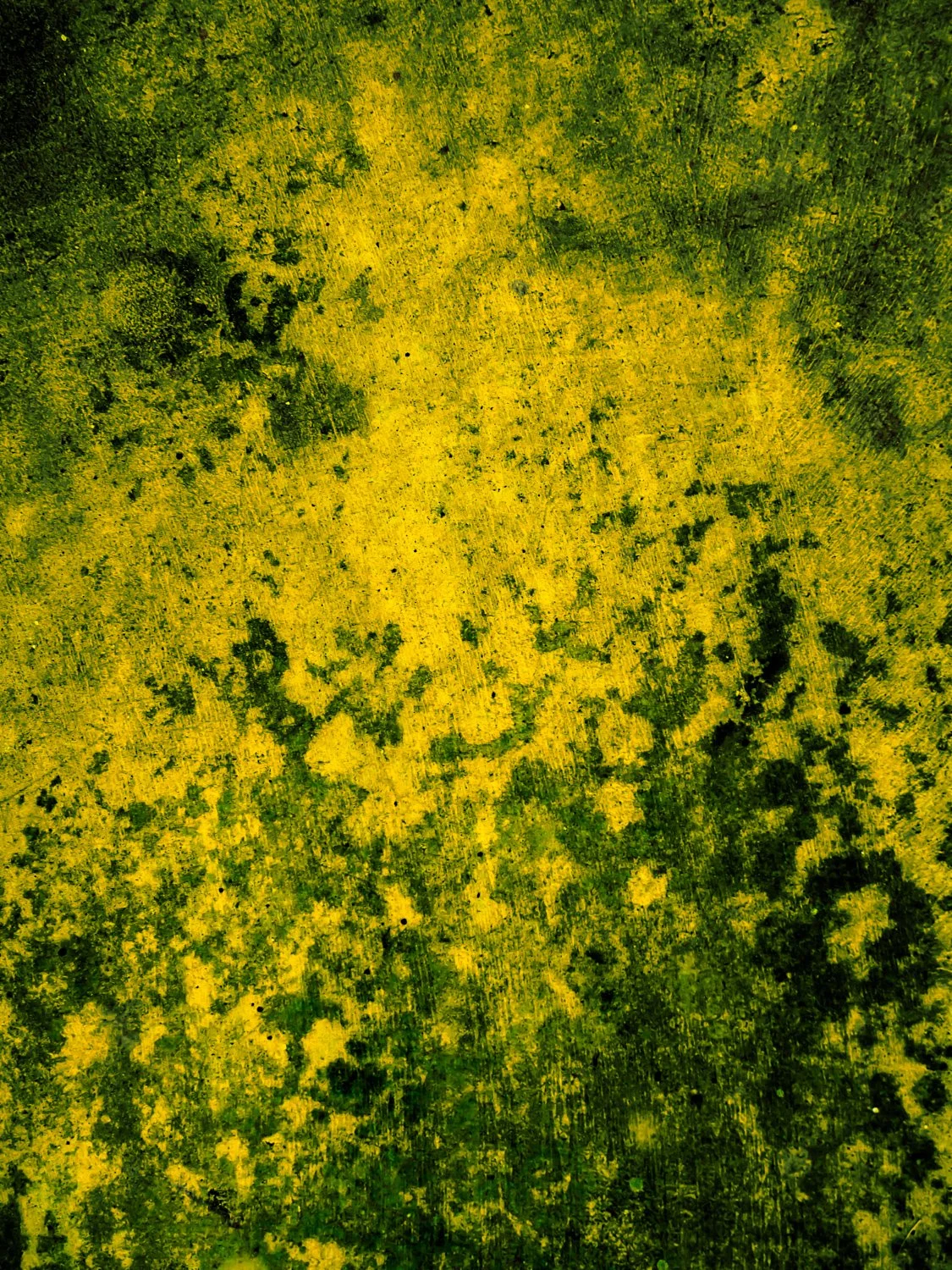 A7500019Renato Rampolla.jpg