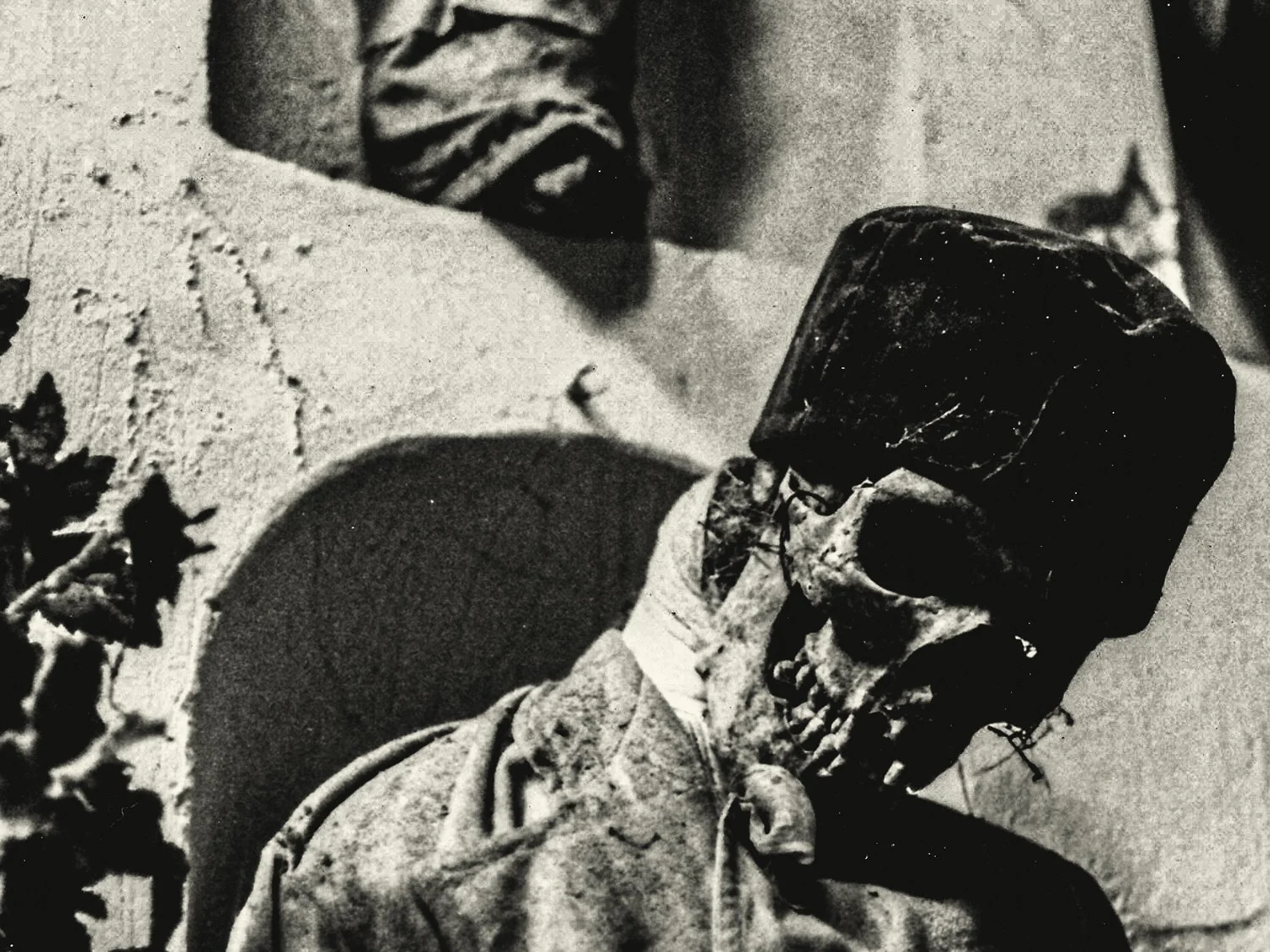 IMG_0002 copyRenato Rampolla.jpg