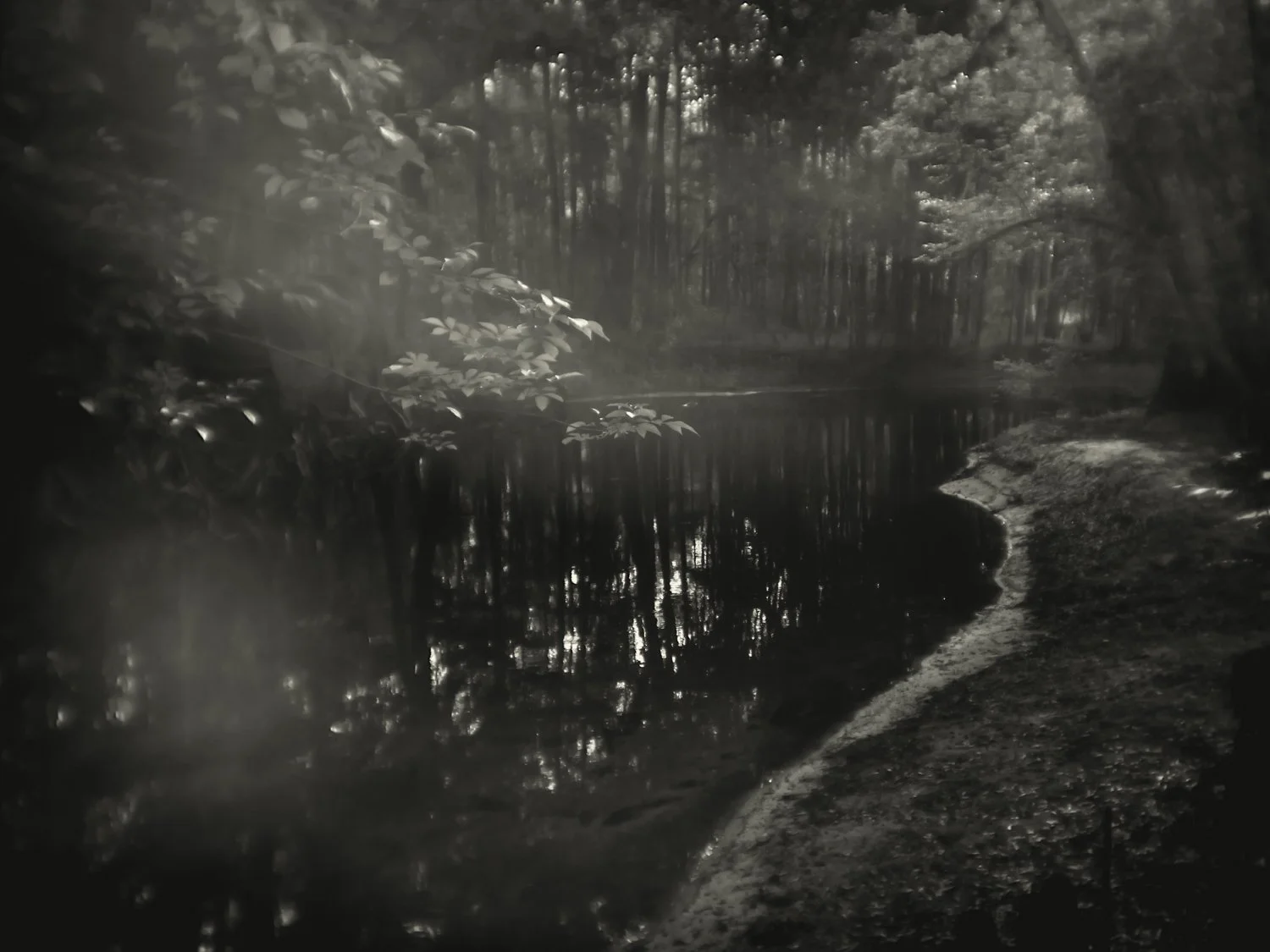 A7500200Renato Rampolla.jpg